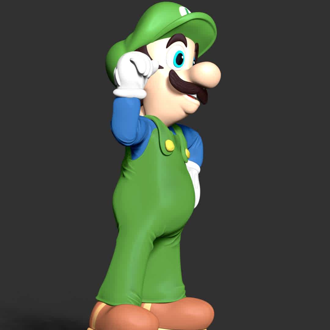 Luigi - The Super Mario - These information of model:

**- The height of current model is 30 cm and you can free to scale it.**

**- Format files: STL, OBJ to supporting 3D printing.**

Please don't hesitate to contact me if you have any issues question. - The best files for 3D printing in the world. Stl models divided into parts to facilitate 3D printing. All kinds of characters, decoration, cosplay, prosthetics, pieces. Quality in 3D printing. Affordable 3D models. Low cost. Collective purchases of 3D files.