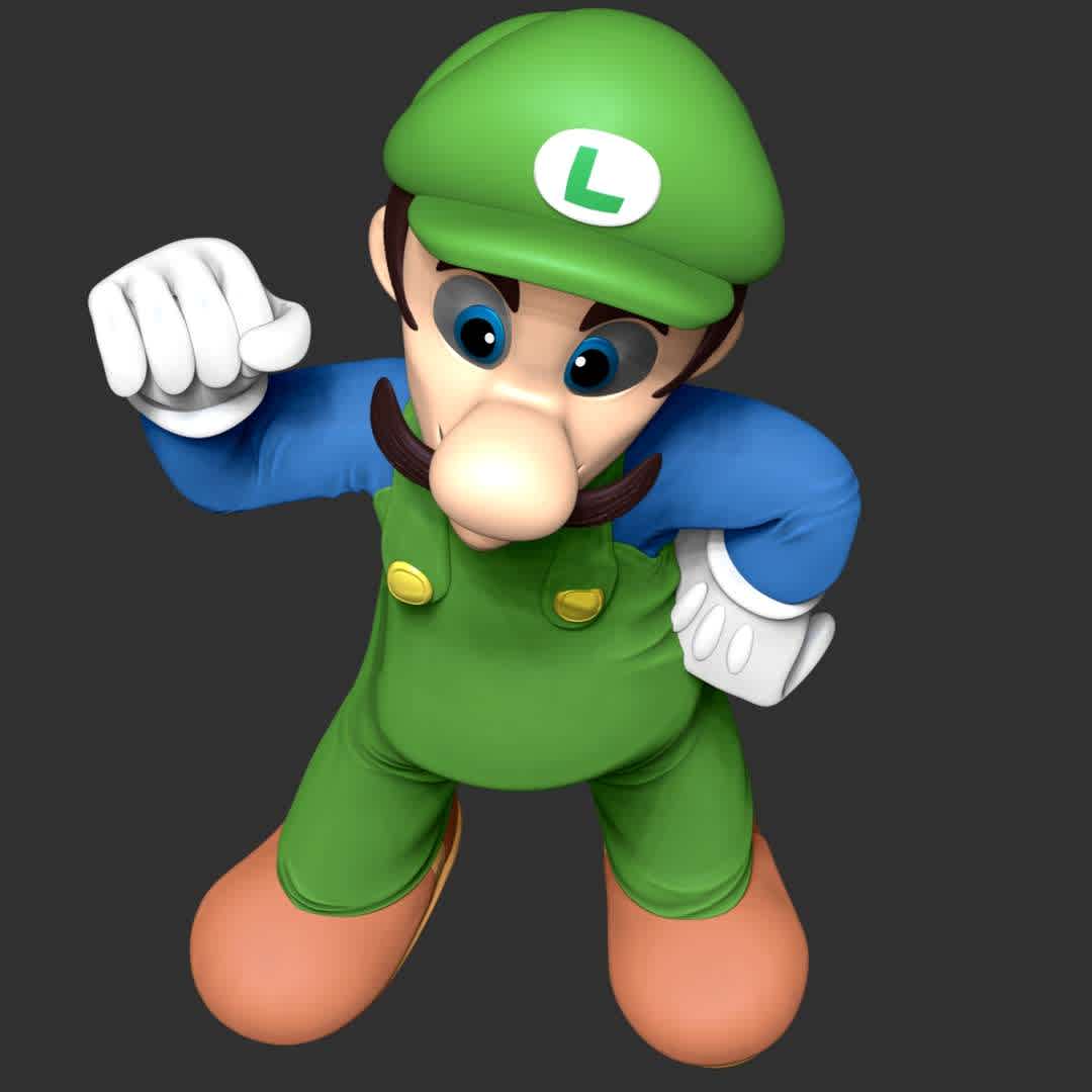 Luigi - The Super Mario - These information of model:

**- The height of current model is 30 cm and you can free to scale it.**

**- Format files: STL, OBJ to supporting 3D printing.**

Please don't hesitate to contact me if you have any issues question. - The best files for 3D printing in the world. Stl models divided into parts to facilitate 3D printing. All kinds of characters, decoration, cosplay, prosthetics, pieces. Quality in 3D printing. Affordable 3D models. Low cost. Collective purchases of 3D files.