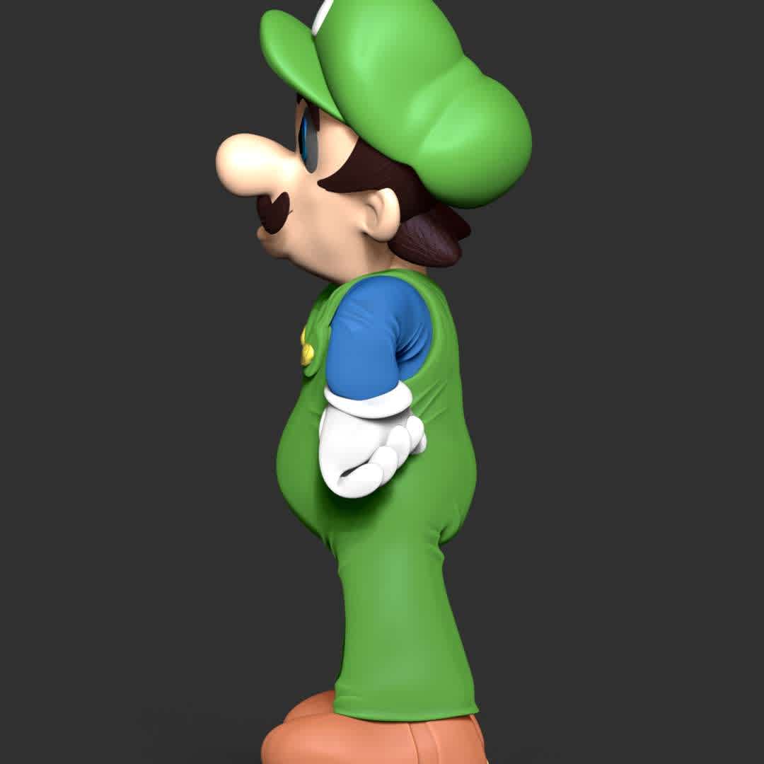 Luigi - The Super Mario - These information of model:

**- The height of current model is 30 cm and you can free to scale it.**

**- Format files: STL, OBJ to supporting 3D printing.**

Please don't hesitate to contact me if you have any issues question. - The best files for 3D printing in the world. Stl models divided into parts to facilitate 3D printing. All kinds of characters, decoration, cosplay, prosthetics, pieces. Quality in 3D printing. Affordable 3D models. Low cost. Collective purchases of 3D files.