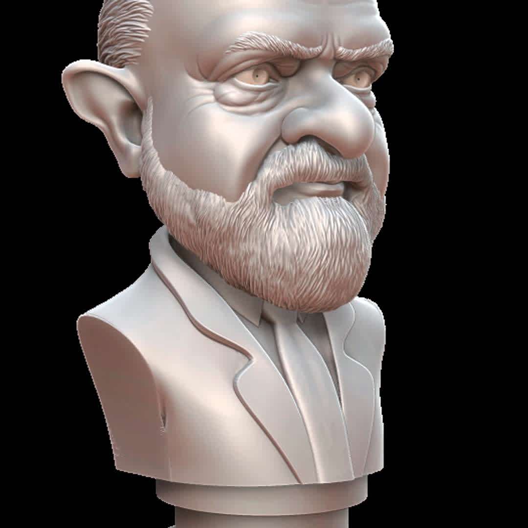 Lula Da Silva - Craicature Lula Da Silva - The best files for 3D printing in the world. Stl models divided into parts to facilitate 3D printing. All kinds of characters, decoration, cosplay, prosthetics, pieces. Quality in 3D printing. Affordable 3D models. Low cost. Collective purchases of 3D files.