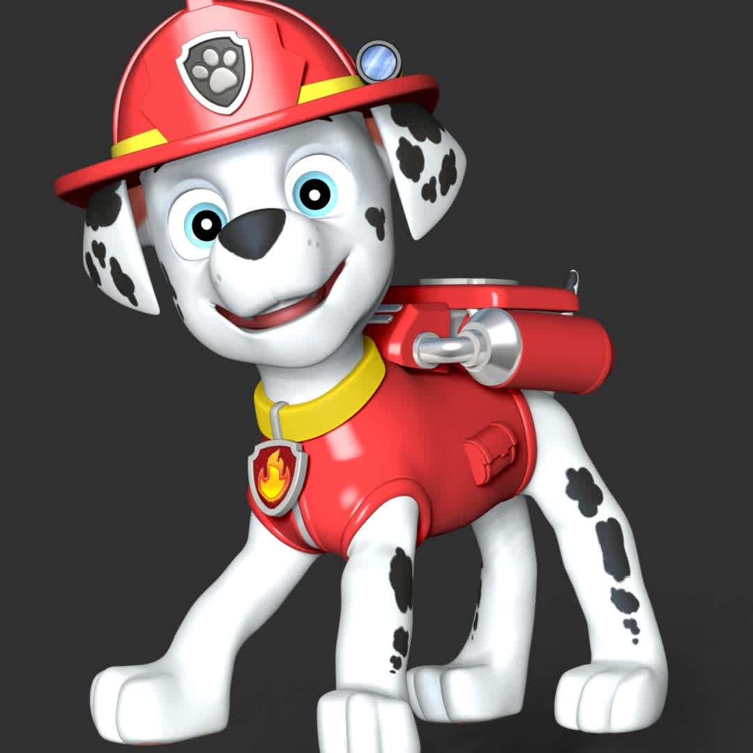 CO3D Marshall Paw Patrol