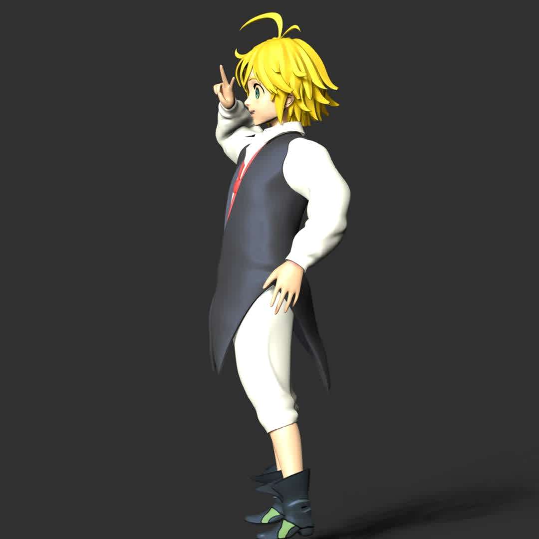 Meliodas - The Seven Deadly Sins - This model has a height of 18 cm.

When you purchase this model, you will own:

 - STL, OBJ file with 05 separated files (included key to connect parts) is ready for 3D printing.
 - Zbrush original files (ZTL) for you to customize as you like.

This is version 1.0 of this model.

Thanks for viewing! Hope you like him.  - The best files for 3D printing in the world. Stl models divided into parts to facilitate 3D printing. All kinds of characters, decoration, cosplay, prosthetics, pieces. Quality in 3D printing. Affordable 3D models. Low cost. Collective purchases of 3D files.