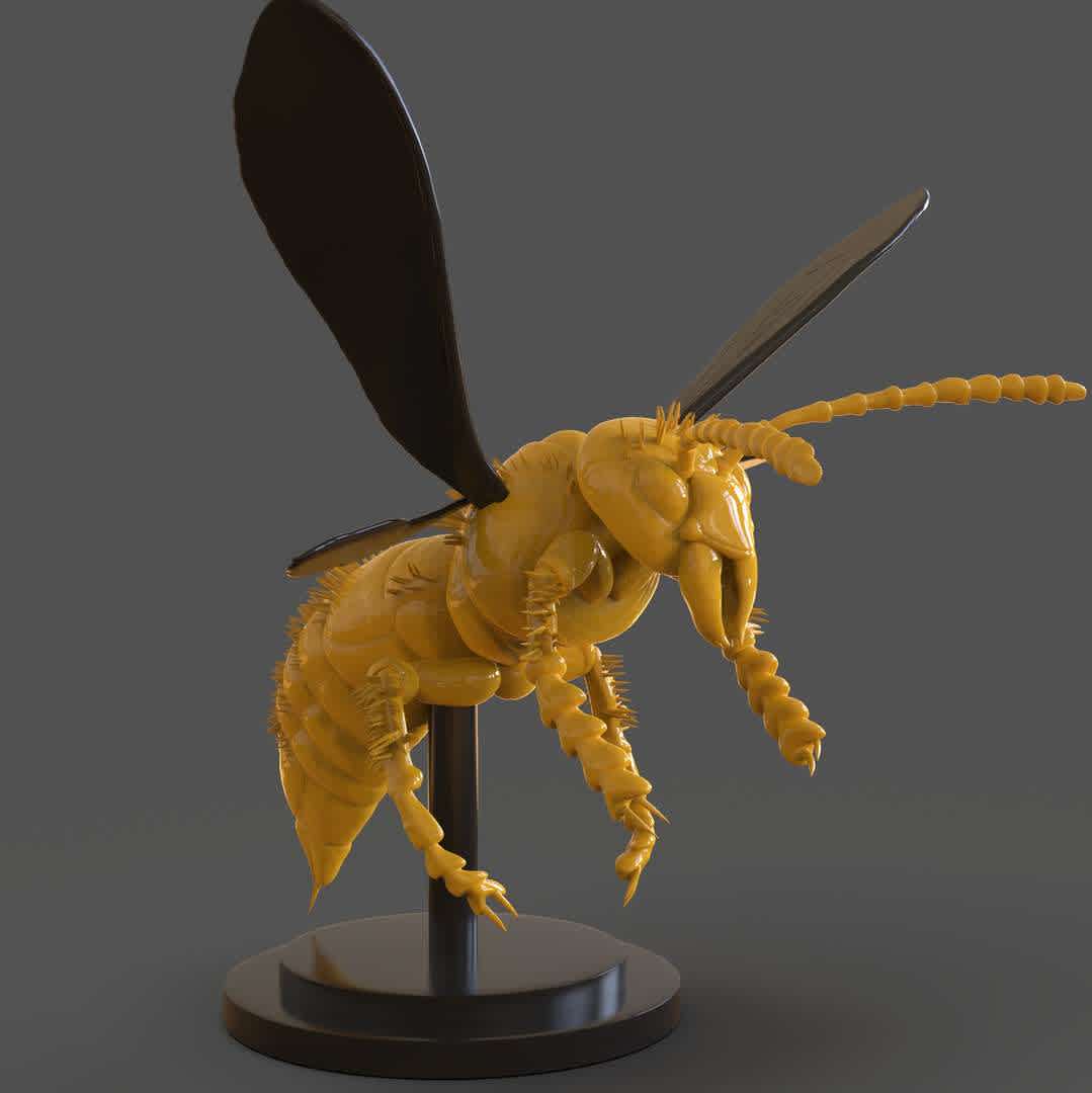 Murdering Asian Hornet Sculpture - A Murdering Asian Hornet Sculpture ready for 3D Print I separate each part for easy 3D Print if you need 3D Game Assets or Stl files I can do commissions works.

 - The best files for 3D printing in the world. Stl models divided into parts to facilitate 3D printing. All kinds of characters, decoration, cosplay, prosthetics, pieces. Quality in 3D printing. Affordable 3D models. Low cost. Collective purchases of 3D files.