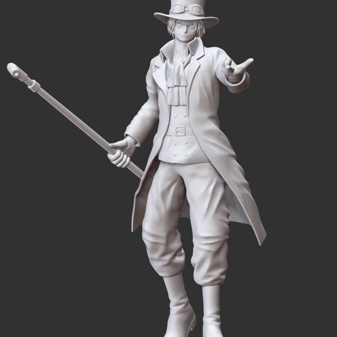 One Piece - Sabo - These information of model:

**- The height of current model is 30 cm and you can free to scale it.**

**- Format files: STL, OBJ to supporting 3D printing.**

Please don't hesitate to contact me if you have any issues question. - The best files for 3D printing in the world. Stl models divided into parts to facilitate 3D printing. All kinds of characters, decoration, cosplay, prosthetics, pieces. Quality in 3D printing. Affordable 3D models. Low cost. Collective purchases of 3D files.