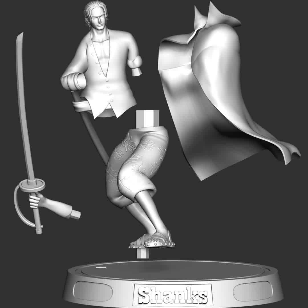 One Piece - Shanks - **These information basic of this model:**

- The model ready for 3D printing.
- The model current size is 20cm height, but you are free to scale it.
- Files format: STL, OBJ (included 5 separated files is ready for 3D printing).
- Also includes Zbrush original file (ZTL) for you to customize as you like.

Hope you like her. 
If you have any questions please don't hesitate to contact me. 
I will respond you ASAP. - The best files for 3D printing in the world. Stl models divided into parts to facilitate 3D printing. All kinds of characters, decoration, cosplay, prosthetics, pieces. Quality in 3D printing. Affordable 3D models. Low cost. Collective purchases of 3D files.