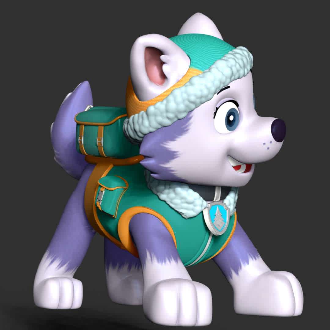 Paw Patrol - Everest - These information of model:

**- The height of current model is 30 cm and you can free to scale it.**

**- Format files: STL, OBJ to supporting 3D printing.**

Please don't hesitate to contact me if you have any issues question. - The best files for 3D printing in the world. Stl models divided into parts to facilitate 3D printing. All kinds of characters, decoration, cosplay, prosthetics, pieces. Quality in 3D printing. Affordable 3D models. Low cost. Collective purchases of 3D files.