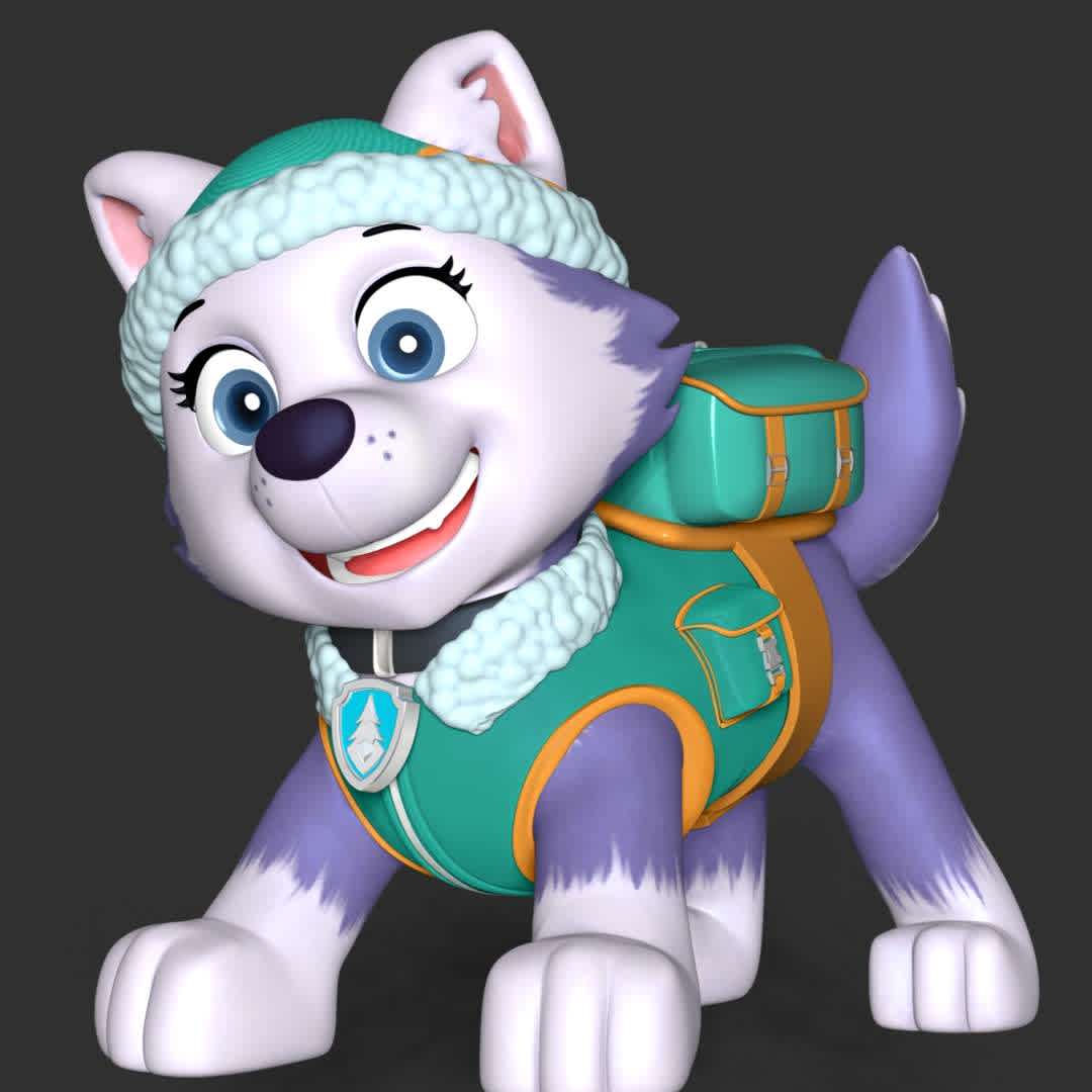 Paw Patrol - Everest - These information of model:

**- The height of current model is 30 cm and you can free to scale it.**

**- Format files: STL, OBJ to supporting 3D printing.**

Please don't hesitate to contact me if you have any issues question. - The best files for 3D printing in the world. Stl models divided into parts to facilitate 3D printing. All kinds of characters, decoration, cosplay, prosthetics, pieces. Quality in 3D printing. Affordable 3D models. Low cost. Collective purchases of 3D files.