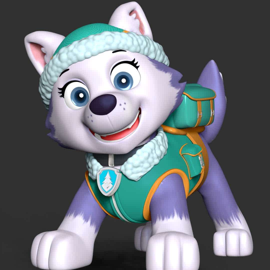 Paw Patrol - Everest - These information of model:

**- The height of current model is 30 cm and you can free to scale it.**

**- Format files: STL, OBJ to supporting 3D printing.**

Please don't hesitate to contact me if you have any issues question. - The best files for 3D printing in the world. Stl models divided into parts to facilitate 3D printing. All kinds of characters, decoration, cosplay, prosthetics, pieces. Quality in 3D printing. Affordable 3D models. Low cost. Collective purchases of 3D files.