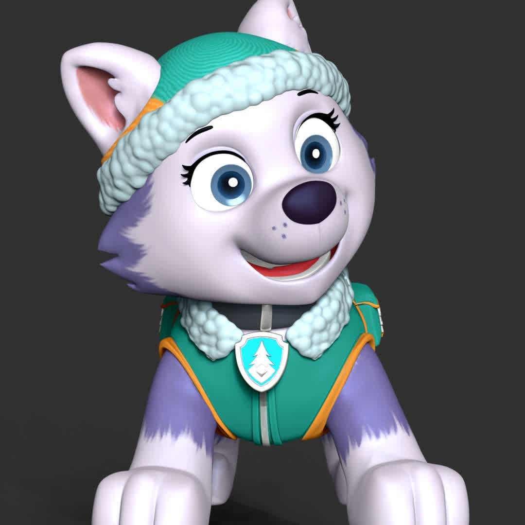 Paw Patrol - Everest - These information of model:

**- The height of current model is 30 cm and you can free to scale it.**

**- Format files: STL, OBJ to supporting 3D printing.**

Please don't hesitate to contact me if you have any issues question. - The best files for 3D printing in the world. Stl models divided into parts to facilitate 3D printing. All kinds of characters, decoration, cosplay, prosthetics, pieces. Quality in 3D printing. Affordable 3D models. Low cost. Collective purchases of 3D files.