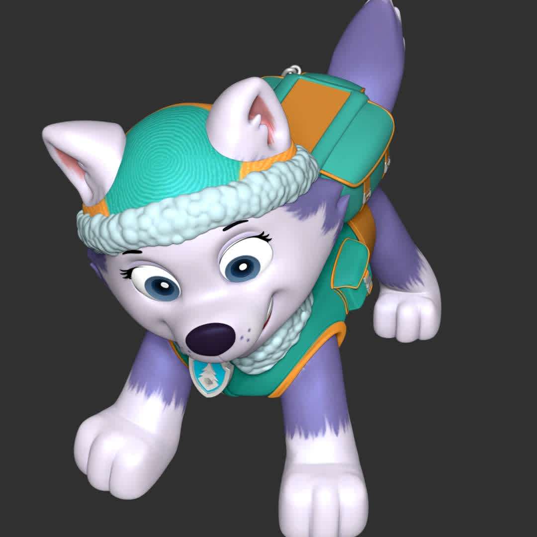 Paw Patrol - Everest - These information of model:

**- The height of current model is 30 cm and you can free to scale it.**

**- Format files: STL, OBJ to supporting 3D printing.**

Please don't hesitate to contact me if you have any issues question. - The best files for 3D printing in the world. Stl models divided into parts to facilitate 3D printing. All kinds of characters, decoration, cosplay, prosthetics, pieces. Quality in 3D printing. Affordable 3D models. Low cost. Collective purchases of 3D files.