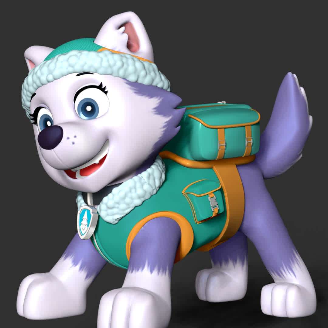 Paw Patrol - Everest - These information of model:

**- The height of current model is 30 cm and you can free to scale it.**

**- Format files: STL, OBJ to supporting 3D printing.**

Please don't hesitate to contact me if you have any issues question. - The best files for 3D printing in the world. Stl models divided into parts to facilitate 3D printing. All kinds of characters, decoration, cosplay, prosthetics, pieces. Quality in 3D printing. Affordable 3D models. Low cost. Collective purchases of 3D files.