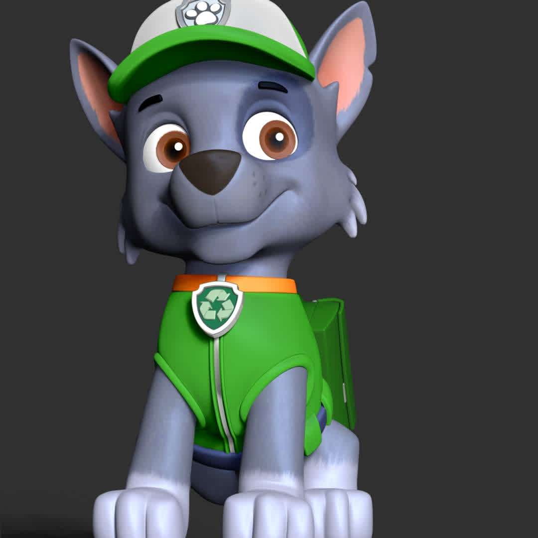 Paw Patrol- Rocky - **Rocky is main protagonists in the PAW Patrol. He is to use recycled items to fix broken objects.**

These information of model:

**- The height of current model is 30 cm but you can free to scale it.**

**- Format files: STL, OBJ to supporting 3D printing.**

Please don't hesitate to contact me if you have any issues question. - The best files for 3D printing in the world. Stl models divided into parts to facilitate 3D printing. All kinds of characters, decoration, cosplay, prosthetics, pieces. Quality in 3D printing. Affordable 3D models. Low cost. Collective purchases of 3D files.