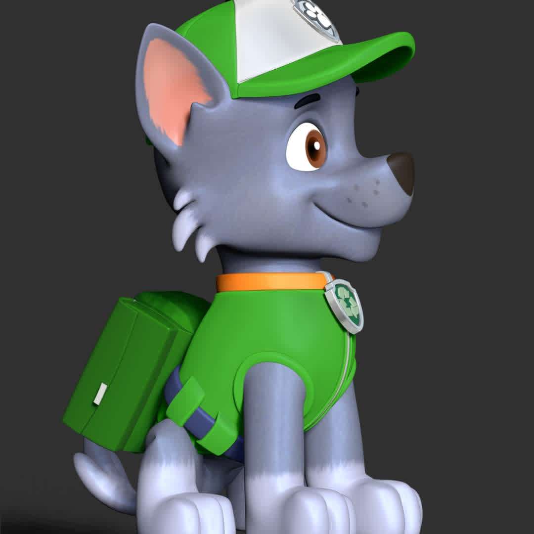 Paw Patrol- Rocky - **Rocky is main protagonists in the PAW Patrol. He is to use recycled items to fix broken objects.**

These information of model:

**- The height of current model is 30 cm but you can free to scale it.**

**- Format files: STL, OBJ to supporting 3D printing.**

Please don't hesitate to contact me if you have any issues question. - The best files for 3D printing in the world. Stl models divided into parts to facilitate 3D printing. All kinds of characters, decoration, cosplay, prosthetics, pieces. Quality in 3D printing. Affordable 3D models. Low cost. Collective purchases of 3D files.