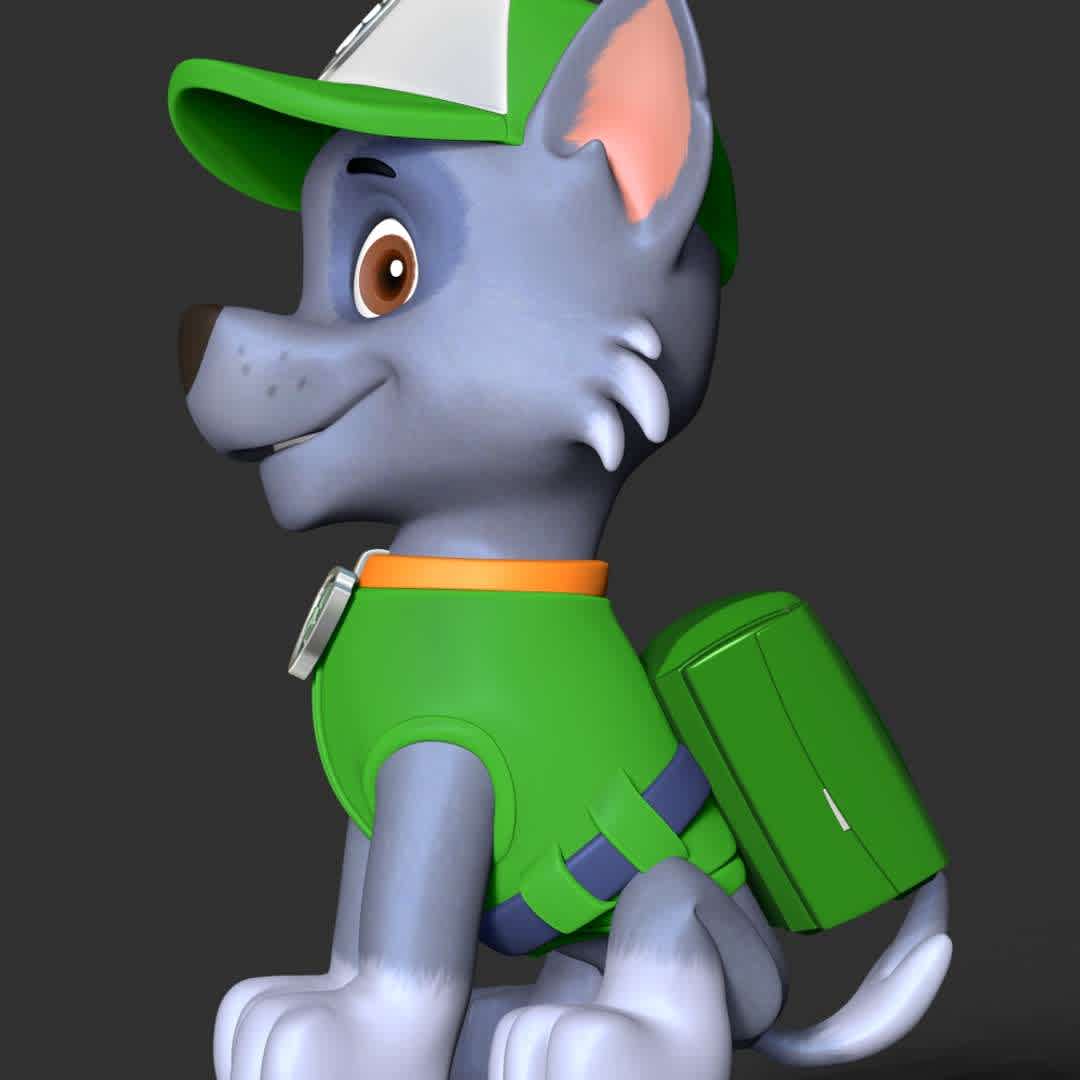 Paw Patrol- Rocky - **Rocky is main protagonists in the PAW Patrol. He is to use recycled items to fix broken objects.**

These information of model:

**- The height of current model is 30 cm but you can free to scale it.**

**- Format files: STL, OBJ to supporting 3D printing.**

Please don't hesitate to contact me if you have any issues question. - The best files for 3D printing in the world. Stl models divided into parts to facilitate 3D printing. All kinds of characters, decoration, cosplay, prosthetics, pieces. Quality in 3D printing. Affordable 3D models. Low cost. Collective purchases of 3D files.