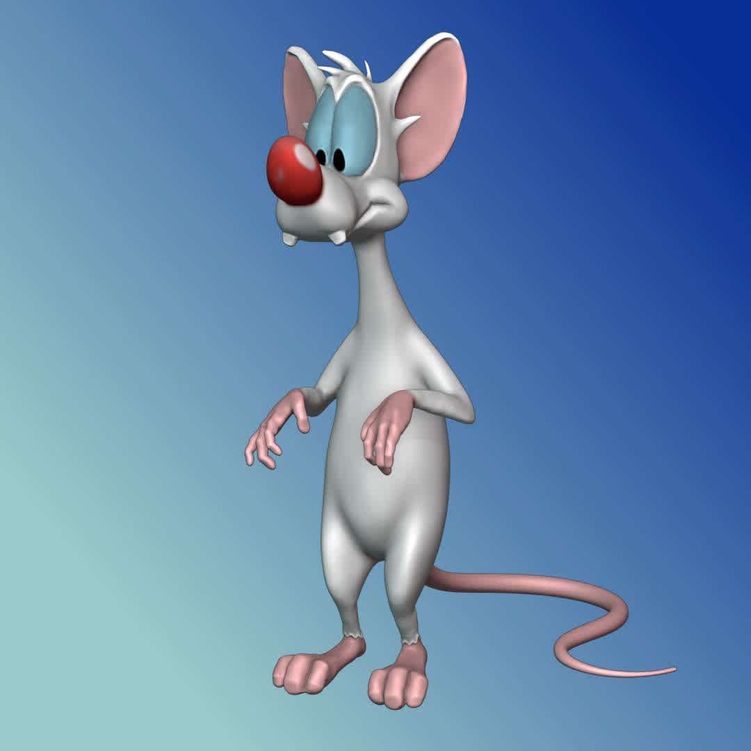 Pinky and the Brain - cut and pin models for fitting. - The best files for 3D printing in the world. Stl models divided into parts to facilitate 3D printing. All kinds of characters, decoration, cosplay, prosthetics, pieces. Quality in 3D printing. Affordable 3D models. Low cost. Collective purchases of 3D files.