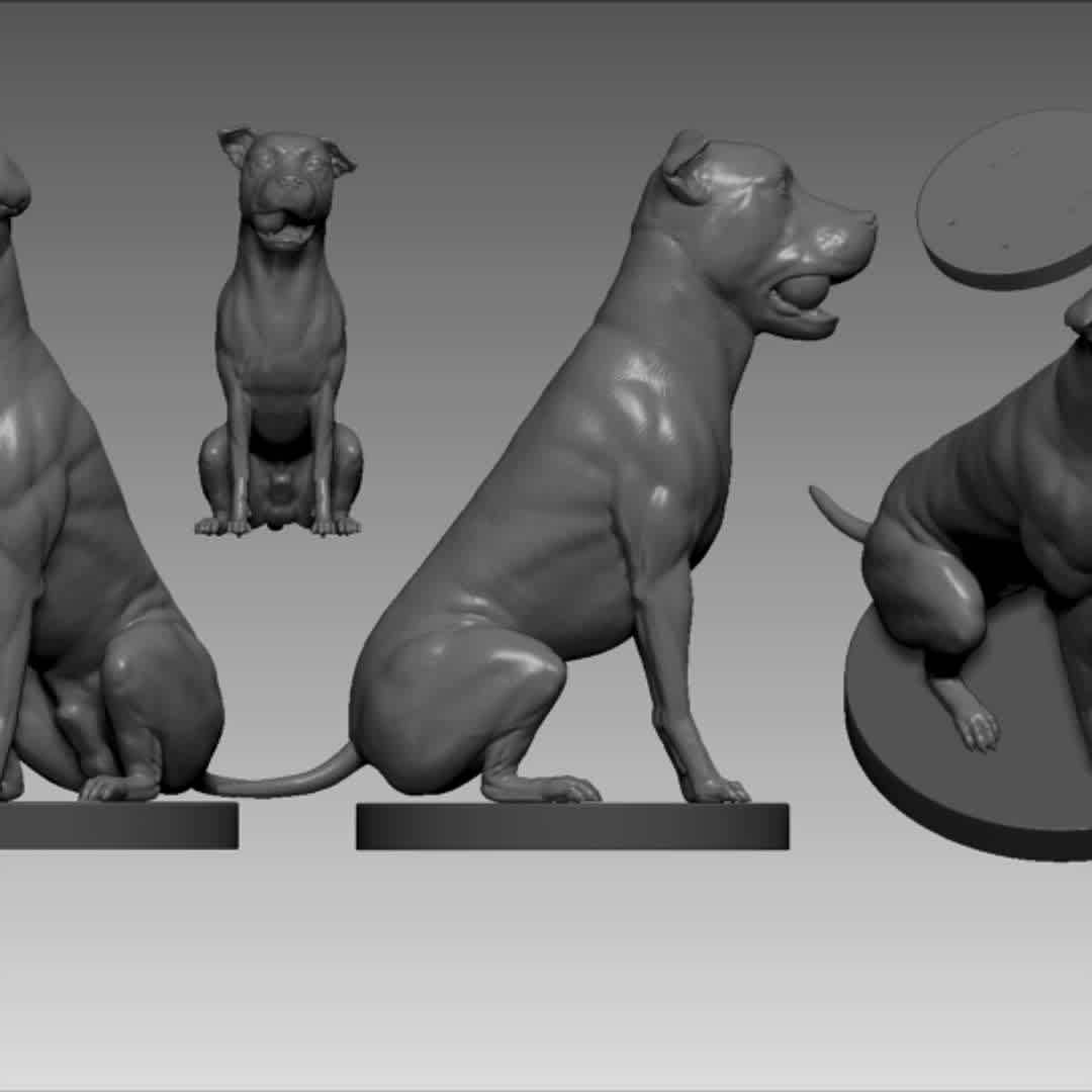 Pitbull - Dog Pet 01 3D print model - Realistic Pitbull posed model comission sculpted by Henrique Froes

(Support the creator # Do not pirate # Either resale, redistribuition or large scale 3D printed models sales are not allowed)

Features:

Exported in 8 and 15 cm

Ready for 3D print

Splitted and keyed model

3D print test certified

Original model

Source Files:

8cm and 15cm files exported in .OBJ.

8cm and 15 cm files exported in .STL.

Who am I?:

Instagram: @henrifroes

Twitter: @Henri_Froes

Artstation: https://www.artstation.com/henryfroes

Please... share, comment, critics... all of it is much aprecciated and it HELP A LOT!

If you need, contact me through e-mail: henrifroes.art@gmail.com - The best files for 3D printing in the world. Stl models divided into parts to facilitate 3D printing. All kinds of characters, decoration, cosplay, prosthetics, pieces. Quality in 3D printing. Affordable 3D models. Low cost. Collective purchases of 3D files.