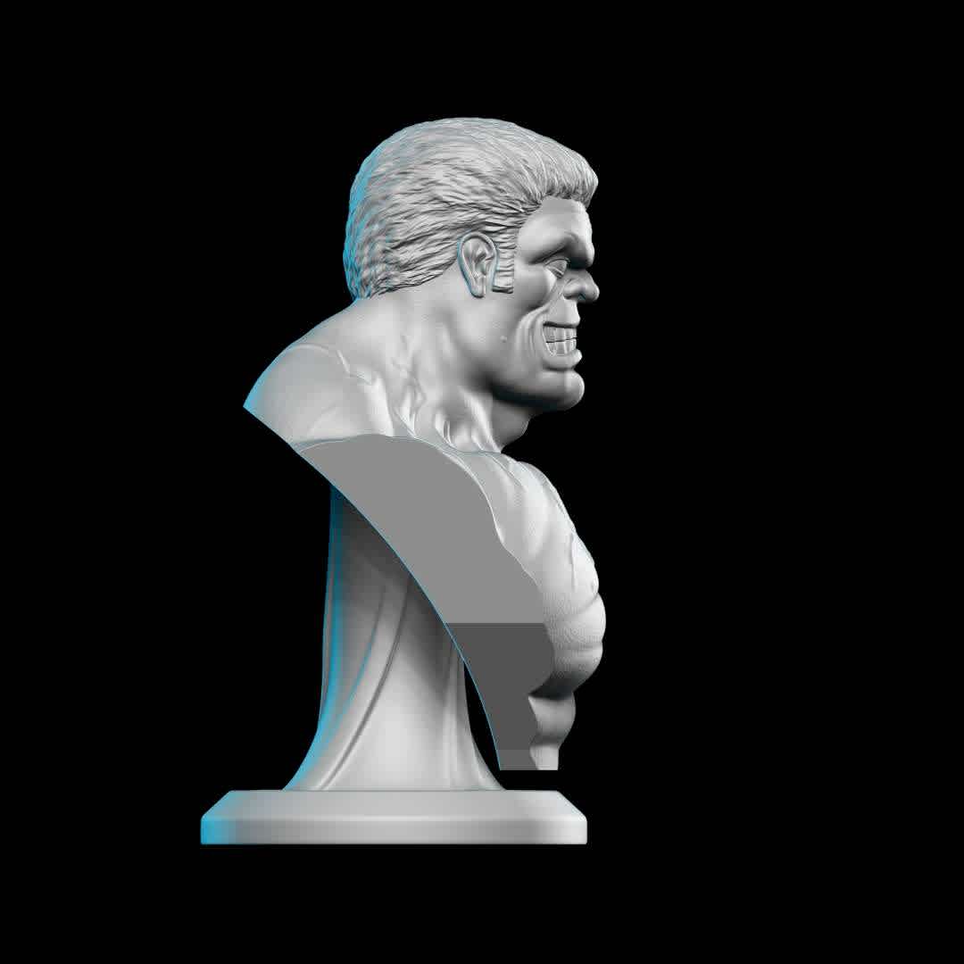 RED HULK BUST STL - The 3D model is prepared and ready for 3D printing. Printing test performed on Creality LD-006 printer. Contents: STL file.

Total de Pieces: 2 - Approximate Height: 150mm Contents : STL file.

Tip for a good impression:

Make sure your printer is calibrated Use the correct timing for your resin/printer After printing, wash the piece and remove the supports by hand or with the aid of pliers, remove carefully Cure your parts Finish your piece with sandpaper Paint your piece and make your collection. Thank you very much. Hope you like it! ;D

Thank you for downloading and supporting! Please remember to rate my work ! thanks! - The best files for 3D printing in the world. Stl models divided into parts to facilitate 3D printing. All kinds of characters, decoration, cosplay, prosthetics, pieces. Quality in 3D printing. Affordable 3D models. Low cost. Collective purchases of 3D files.