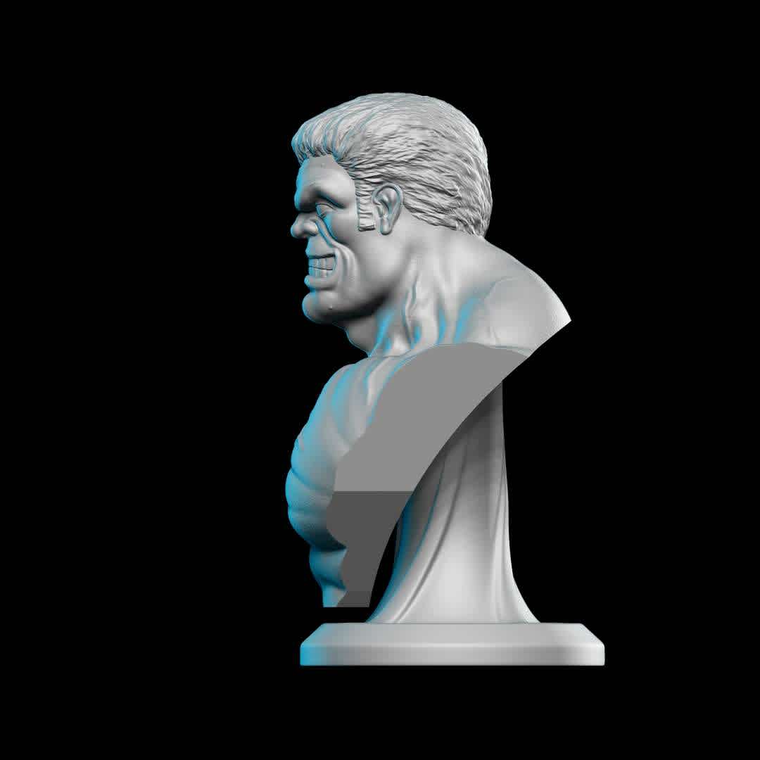 RED HULK BUST STL - The 3D model is prepared and ready for 3D printing. Printing test performed on Creality LD-006 printer. Contents: STL file.

Total de Pieces: 2 - Approximate Height: 150mm Contents : STL file.

Tip for a good impression:

Make sure your printer is calibrated Use the correct timing for your resin/printer After printing, wash the piece and remove the supports by hand or with the aid of pliers, remove carefully Cure your parts Finish your piece with sandpaper Paint your piece and make your collection. Thank you very much. Hope you like it! ;D

Thank you for downloading and supporting! Please remember to rate my work ! thanks! - The best files for 3D printing in the world. Stl models divided into parts to facilitate 3D printing. All kinds of characters, decoration, cosplay, prosthetics, pieces. Quality in 3D printing. Affordable 3D models. Low cost. Collective purchases of 3D files.