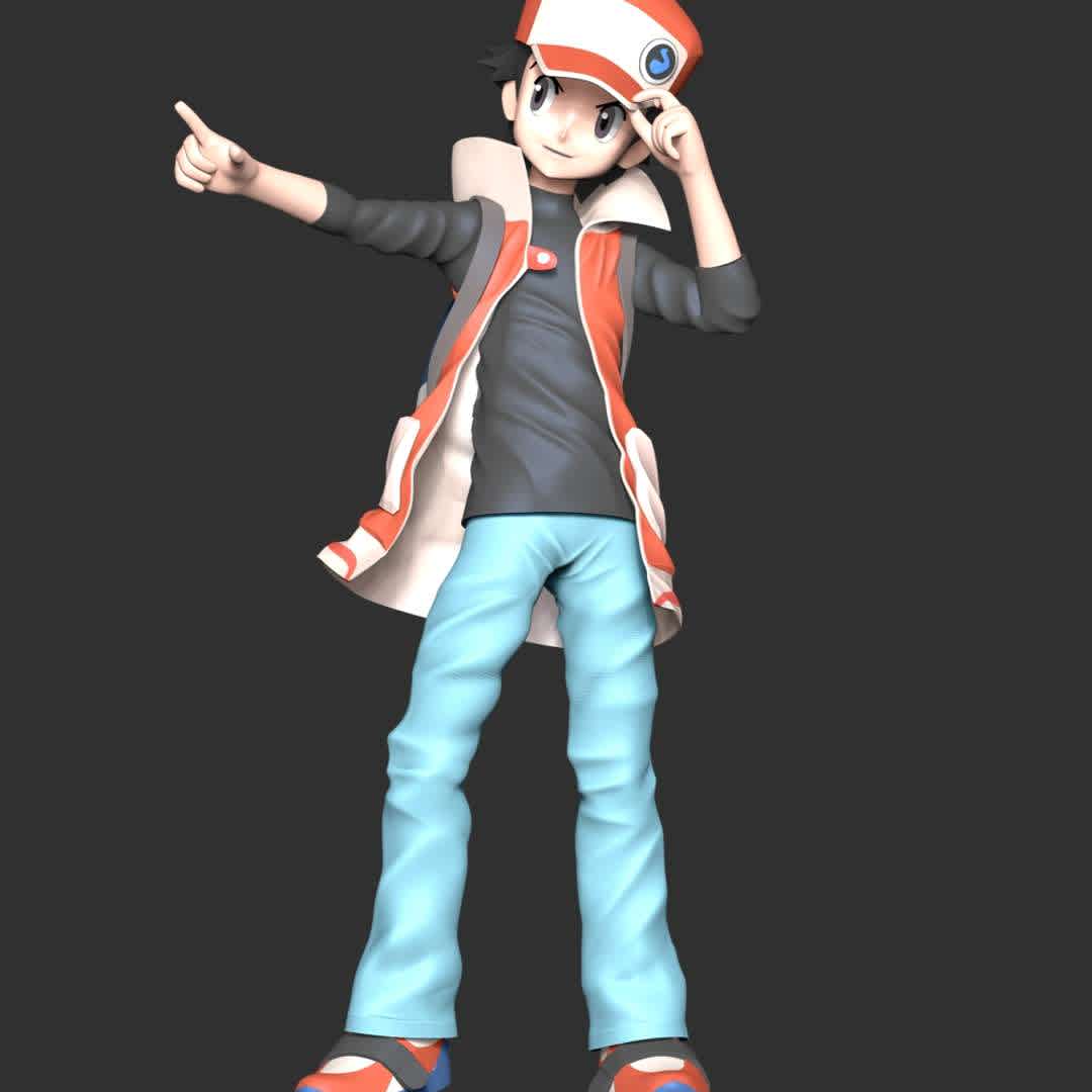 Red Pokémon - **Red is the canon name of the protagonist of the Generation I games and is a Pokémon Trainer from Pallet Town, Kanto**

These information of model:

**- The height of current model is 20 cm and you can free to scale it.**

**- Format files: STL, OBJ to supporting 3D printing.**

Please don't hesitate to contact me if you have any issues question. - The best files for 3D printing in the world. Stl models divided into parts to facilitate 3D printing. All kinds of characters, decoration, cosplay, prosthetics, pieces. Quality in 3D printing. Affordable 3D models. Low cost. Collective purchases of 3D files.