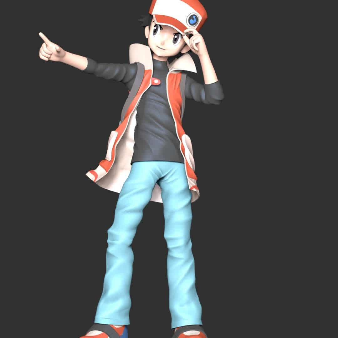 Red Pokémon - **Red is the canon name of the protagonist of the Generation I games and is a Pokémon Trainer from Pallet Town, Kanto**

These information of model:

**- The height of current model is 20 cm and you can free to scale it.**

**- Format files: STL, OBJ to supporting 3D printing.**

Please don't hesitate to contact me if you have any issues question. - Los mejores archivos para impresión 3D del mundo. Modelos Stl divididos en partes para facilitar la impresión 3D. Todo tipo de personajes, decoración, cosplay, prótesis, piezas. Calidad en impresión 3D. Modelos 3D asequibles. Bajo costo. Compras colectivas de archivos 3D.