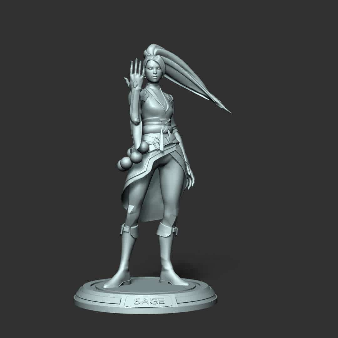 Sage - Valorant - When you purchase this model, you will own:

  - STL, OBJ file with 04 separated files (included key to connect parts) is ready for 3D printing.
  - Zbrush original files (ZTL) for you to customize as you like.

This is version 1.0 of this model.
Thanks for viewing! Hope you like her. - The best files for 3D printing in the world. Stl models divided into parts to facilitate 3D printing. All kinds of characters, decoration, cosplay, prosthetics, pieces. Quality in 3D printing. Affordable 3D models. Low cost. Collective purchases of 3D files.