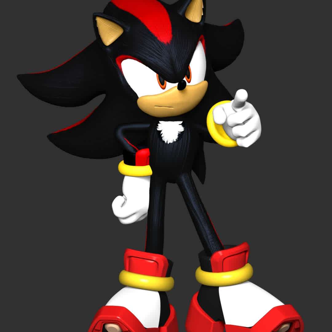 Shadow the hedgehog - These information of model:

**- The height of current model is 20 cm and you can free to scale it.**

**- Format files: STL, OBJ to supporting 3D printing.**

Please don't hesitate to contact me if you have any issues question. - The best files for 3D printing in the world. Stl models divided into parts to facilitate 3D printing. All kinds of characters, decoration, cosplay, prosthetics, pieces. Quality in 3D printing. Affordable 3D models. Low cost. Collective purchases of 3D files.