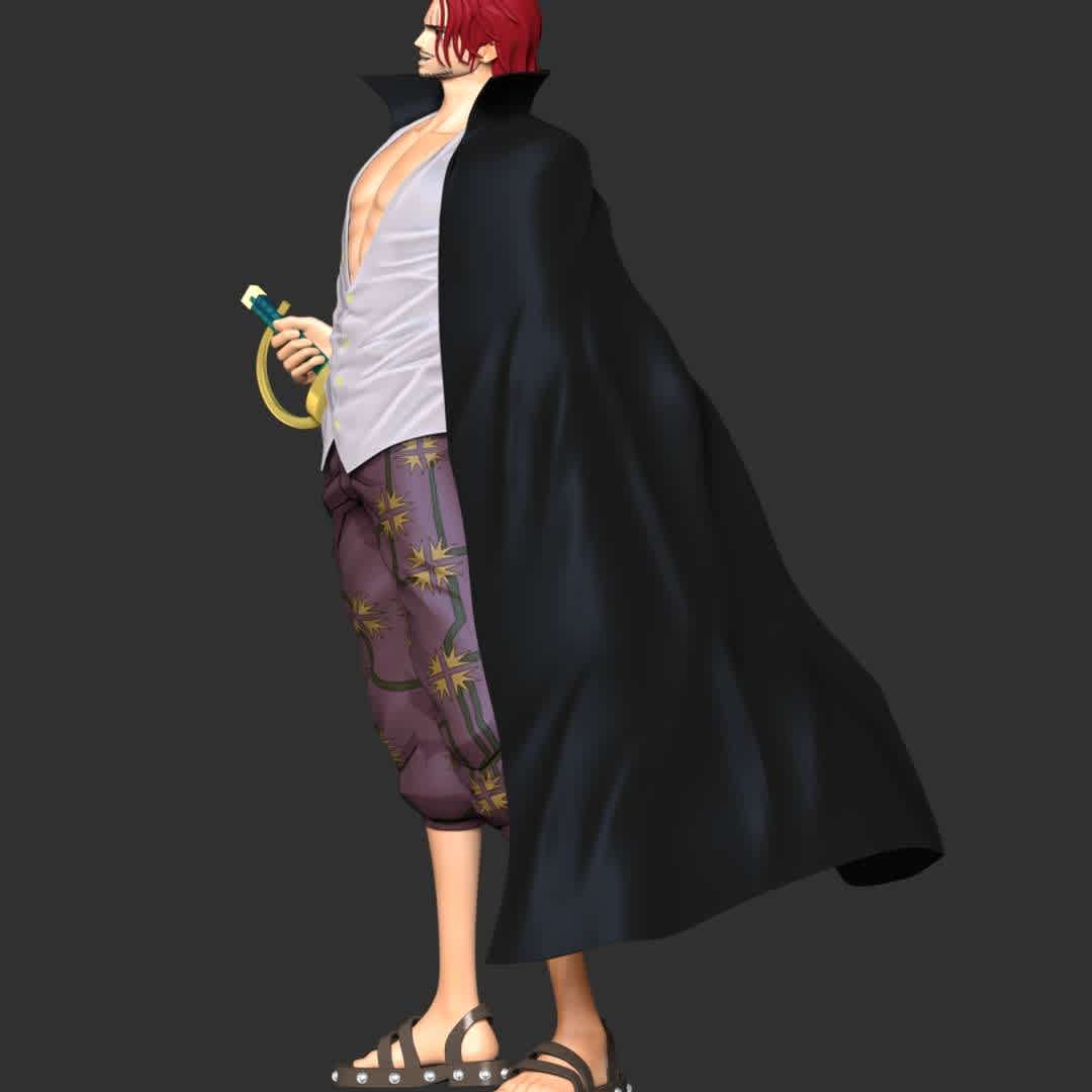 Shanks - One Piece - These information of model:

**- The height of current model is 30 cm and you can free to scale it.**

**- Format files: STL, OBJ to supporting 3D printing.**

Please don't hesitate to contact me if you have any issues question. - Los mejores archivos para impresión 3D del mundo. Modelos Stl divididos en partes para facilitar la impresión 3D. Todo tipo de personajes, decoración, cosplay, prótesis, piezas. Calidad en impresión 3D. Modelos 3D asequibles. Bajo costo. Compras colectivas de archivos 3D.