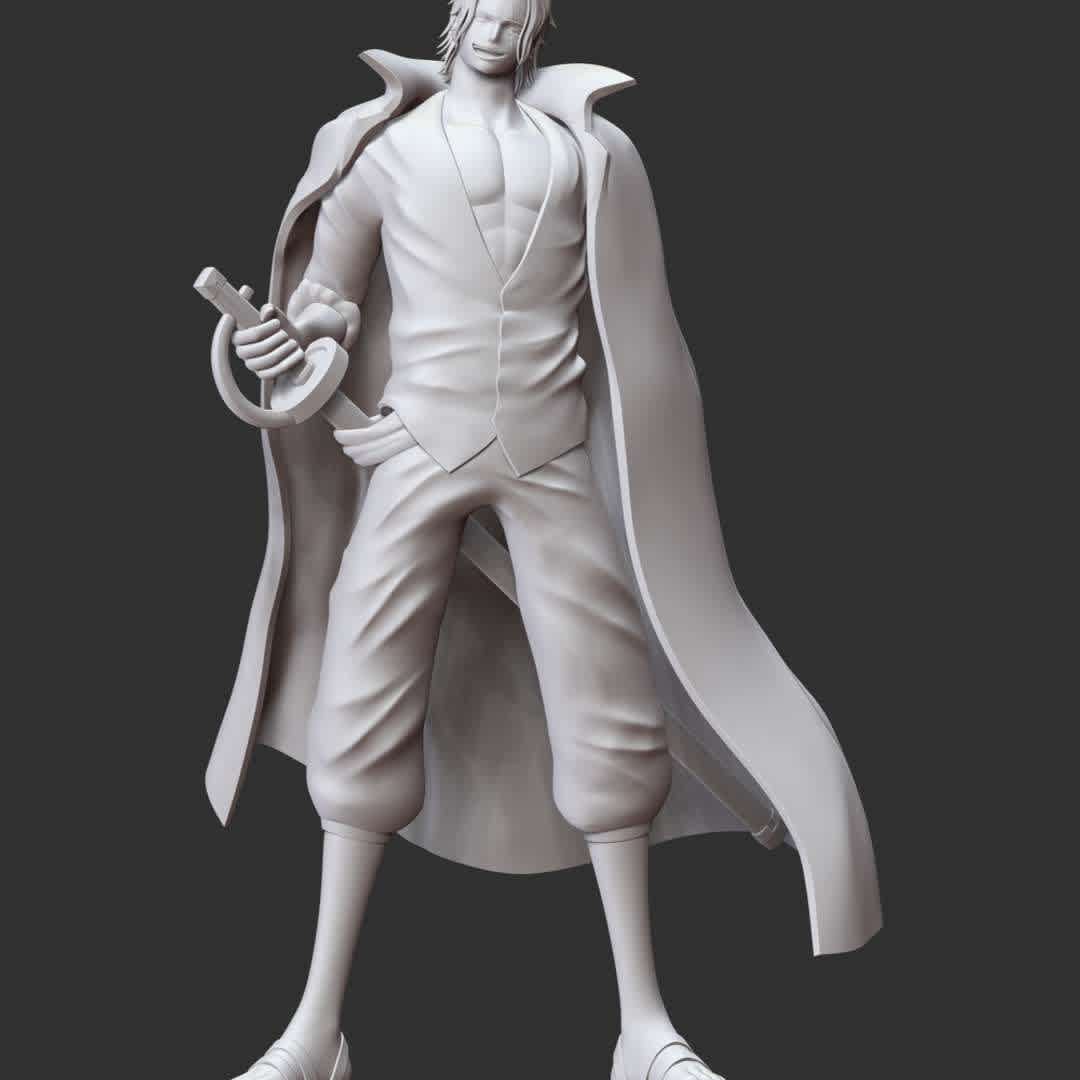 Shanks - One Piece - These information of model:

**- The height of current model is 30 cm and you can free to scale it.**

**- Format files: STL, OBJ to supporting 3D printing.**

Please don't hesitate to contact me if you have any issues question. - The best files for 3D printing in the world. Stl models divided into parts to facilitate 3D printing. All kinds of characters, decoration, cosplay, prosthetics, pieces. Quality in 3D printing. Affordable 3D models. Low cost. Collective purchases of 3D files.