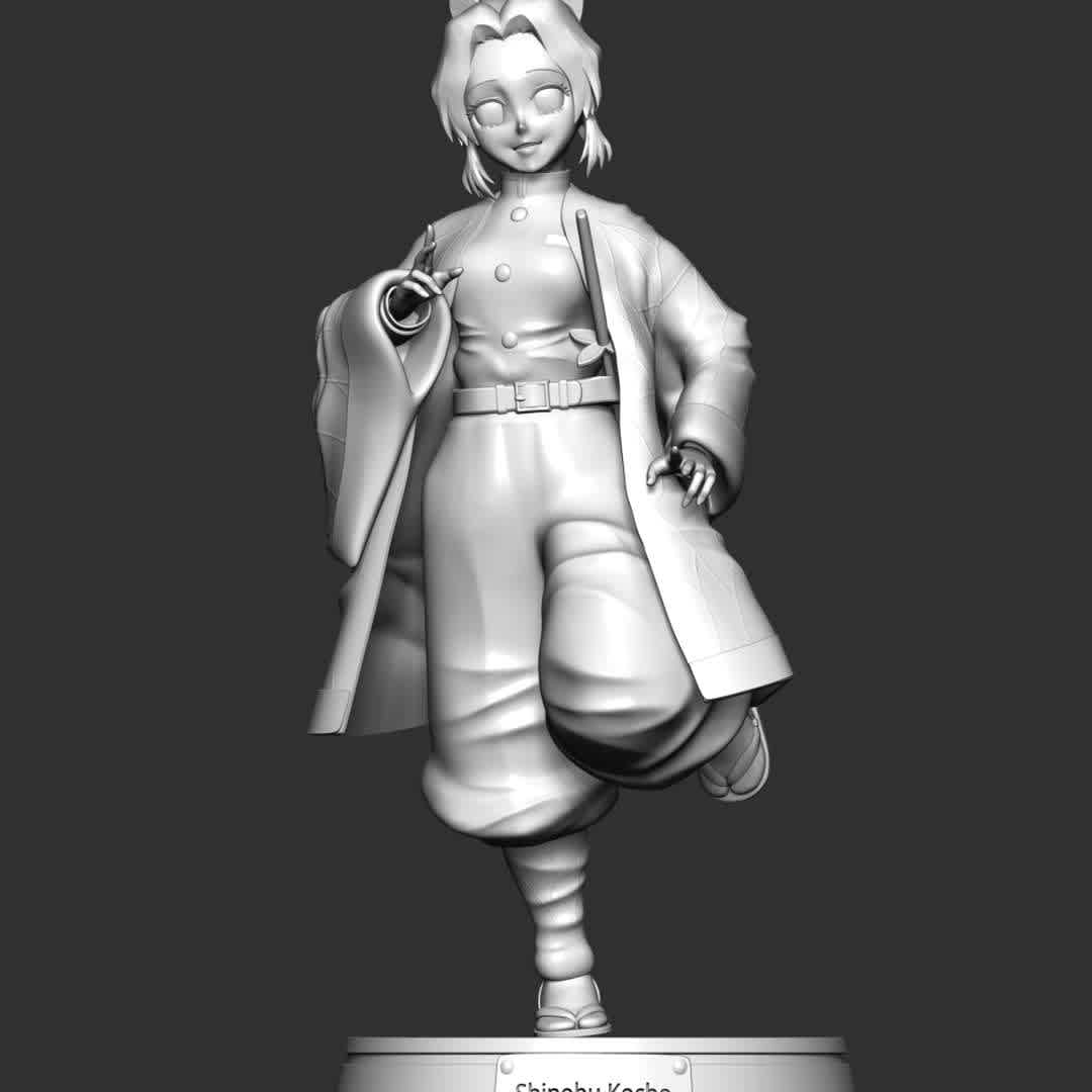 Shinobu Kocho - Kimetsu no Yaiba - **Shinobu Kocho is a major supporting character of Demon Slayer: Kimetsu no Yaiba. She is a Demon Slayer of the Demon Slayer Corps and the current Insect Hashira.**

**The model ready for 3D printing.**

These information of model:

**- Format files: STL, OBJ to supporting 3D printing.**

**- Can be assembled without glue (glue is optional)**

**- Split down to 4 parts**

**- The height of current model is 20 cm and you can free to scale it.**

**- ZTL format for Zbrush for you to customize as you like.**

Please don't hesitate to contact me if you have any issues question.

If you see this model useful, please vote positively for it. - The best files for 3D printing in the world. Stl models divided into parts to facilitate 3D printing. All kinds of characters, decoration, cosplay, prosthetics, pieces. Quality in 3D printing. Affordable 3D models. Low cost. Collective purchases of 3D files.