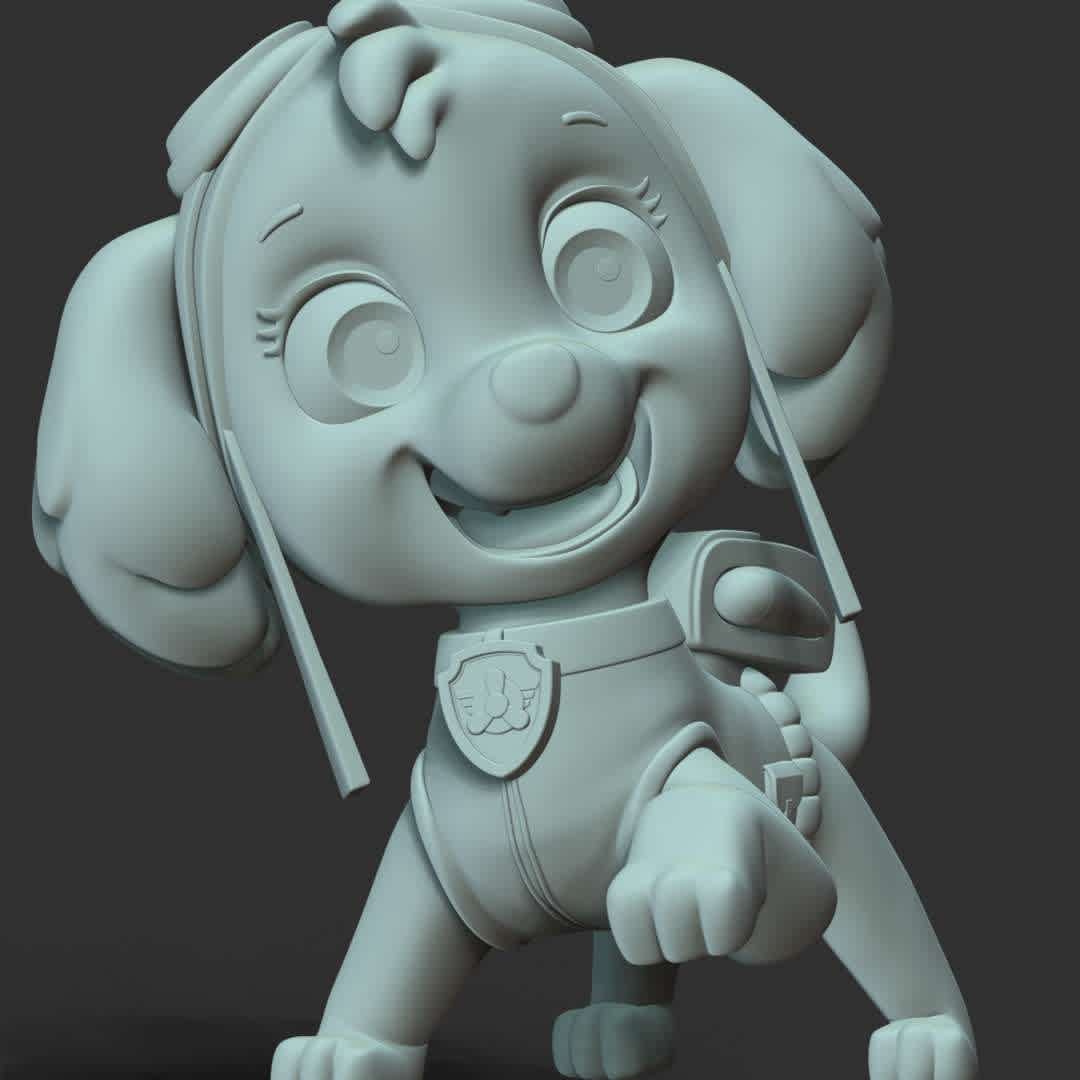 Skye - **Skye is purpose is to serve as the team's air rescue pup.**
These information of model:

**- The height of current model is 30 cm and you can free to scale it.**

**- Format files: STL, OBJ to supporting 3D printing.**

Please don't hesitate to contact me if you have any issues question. - The best files for 3D printing in the world. Stl models divided into parts to facilitate 3D printing. All kinds of characters, decoration, cosplay, prosthetics, pieces. Quality in 3D printing. Affordable 3D models. Low cost. Collective purchases of 3D files.