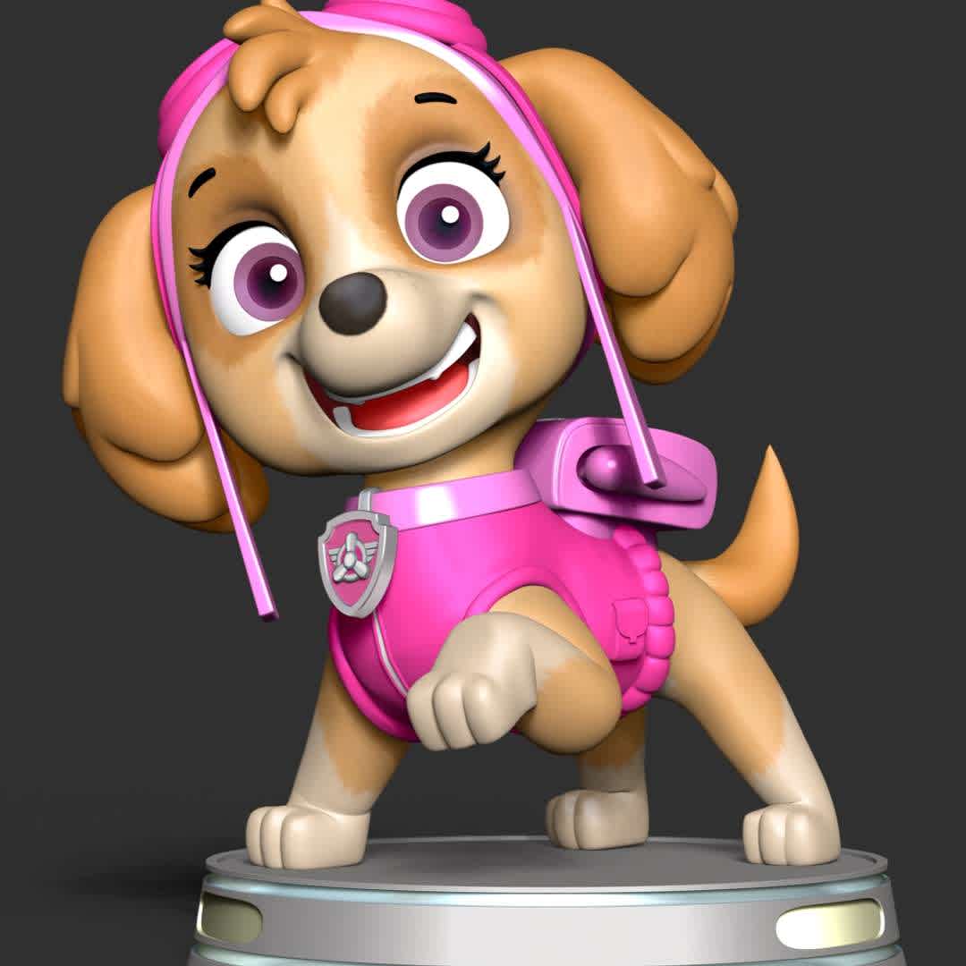 Skye - **Skye is purpose is to serve as the team's air rescue pup.**
These information of model:

**- The height of current model is 30 cm and you can free to scale it.**

**- Format files: STL, OBJ to supporting 3D printing.**

Please don't hesitate to contact me if you have any issues question. - The best files for 3D printing in the world. Stl models divided into parts to facilitate 3D printing. All kinds of characters, decoration, cosplay, prosthetics, pieces. Quality in 3D printing. Affordable 3D models. Low cost. Collective purchases of 3D files.