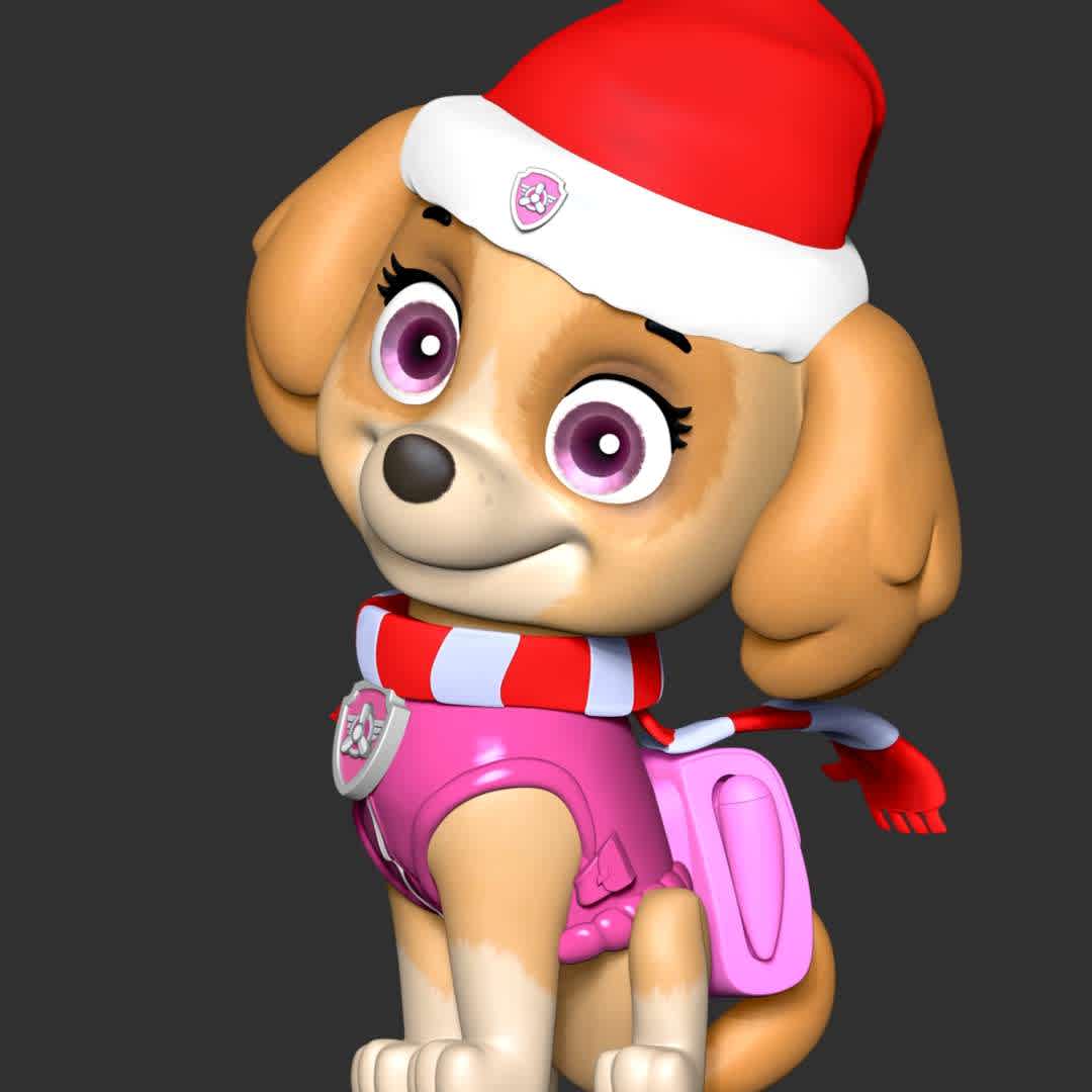 Skye Christmas - Paw Patrol - These information of model:

**- The height of current model is 20 cm and you can free to scale it.**

**- Format files: STL, OBJ to supporting 3D printing.**

Please don't hesitate to contact me if you have any issues question. - Los mejores archivos para impresión 3D del mundo. Modelos Stl divididos en partes para facilitar la impresión 3D. Todo tipo de personajes, decoración, cosplay, prótesis, piezas. Calidad en impresión 3D. Modelos 3D asequibles. Bajo costo. Compras colectivas de archivos 3D.