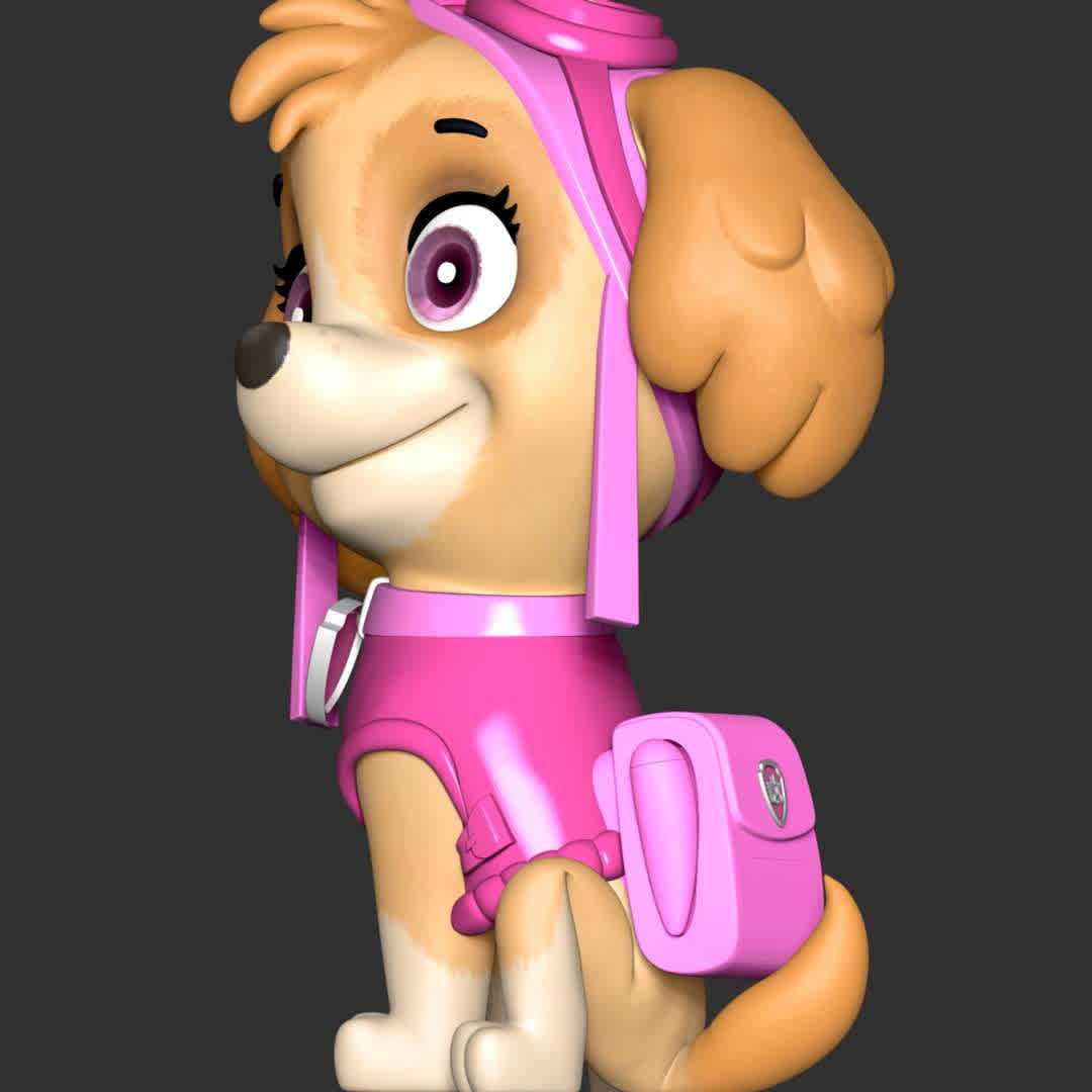 Skye paw patrol - These information of model:

**- The height of current model is 20 cm and you can free to scale it.**

**- Format files: STL, OBJ to supporting 3D printing.**

Please don't hesitate to contact me if you have any issues question. - The best files for 3D printing in the world. Stl models divided into parts to facilitate 3D printing. All kinds of characters, decoration, cosplay, prosthetics, pieces. Quality in 3D printing. Affordable 3D models. Low cost. Collective purchases of 3D files.