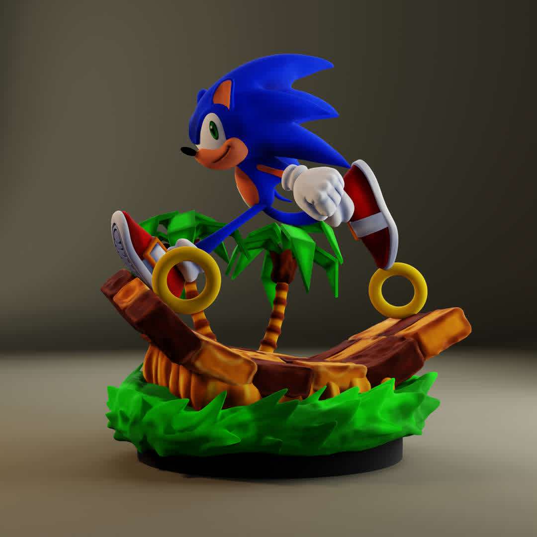 Sonic Green Hill Zone - My design of Sonic running in the Green Hill Zone, in the form of a statue. Sonic was my first character that I drew as a child and today I bring him in 3D design. Nostalgic!

20 cm
14 parts
STL and OBJ - The best files for 3D printing in the world. Stl models divided into parts to facilitate 3D printing. All kinds of characters, decoration, cosplay, prosthetics, pieces. Quality in 3D printing. Affordable 3D models. Low cost. Collective purchases of 3D files.