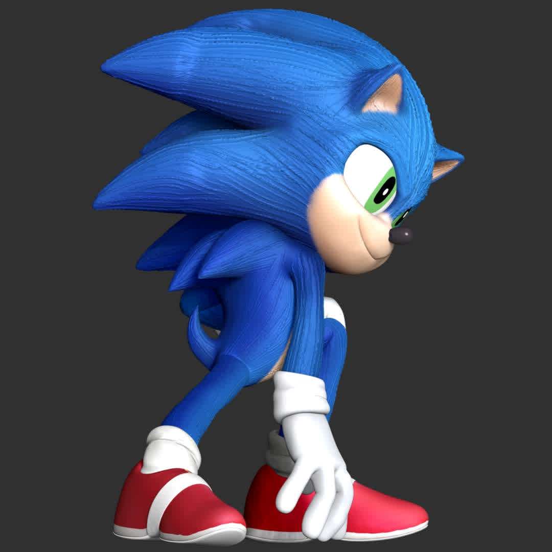 Sonic The Hedgehog 2 - These information of model:

**- The height of current model is 20 cm and you can free to scale it.**

**- Format files: STL, OBJ to supporting 3D printing.**

Please don't hesitate to contact me if you have any issues question. - The best files for 3D printing in the world. Stl models divided into parts to facilitate 3D printing. All kinds of characters, decoration, cosplay, prosthetics, pieces. Quality in 3D printing. Affordable 3D models. Low cost. Collective purchases of 3D files.