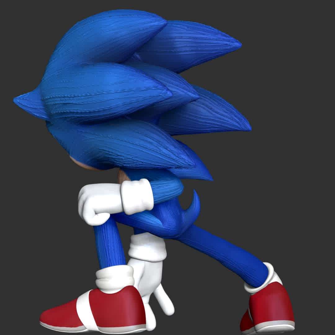 Sonic The Hedgehog 2 - These information of model:

**- The height of current model is 20 cm and you can free to scale it.**

**- Format files: STL, OBJ to supporting 3D printing.**

Please don't hesitate to contact me if you have any issues question. - The best files for 3D printing in the world. Stl models divided into parts to facilitate 3D printing. All kinds of characters, decoration, cosplay, prosthetics, pieces. Quality in 3D printing. Affordable 3D models. Low cost. Collective purchases of 3D files.