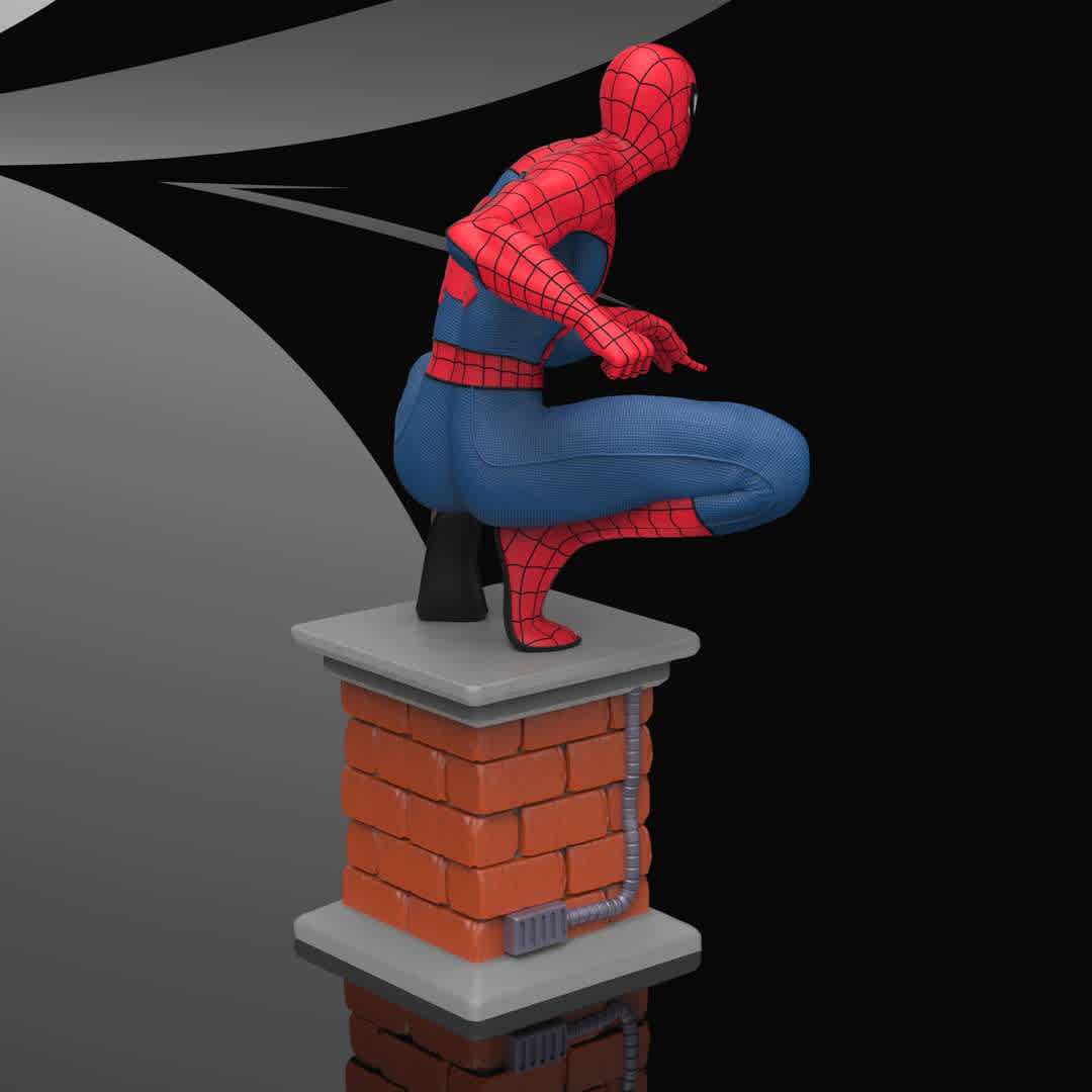 Spider-Man - Spider-Man fan art done in Zbrush, rendered in Keyshot and ready for 3D Printing.

https://www.artstation.com/artwork/vJARl6

Scale: 1/8 = 22cm - The best files for 3D printing in the world. Stl models divided into parts to facilitate 3D printing. All kinds of characters, decoration, cosplay, prosthetics, pieces. Quality in 3D printing. Affordable 3D models. Low cost. Collective purchases of 3D files.