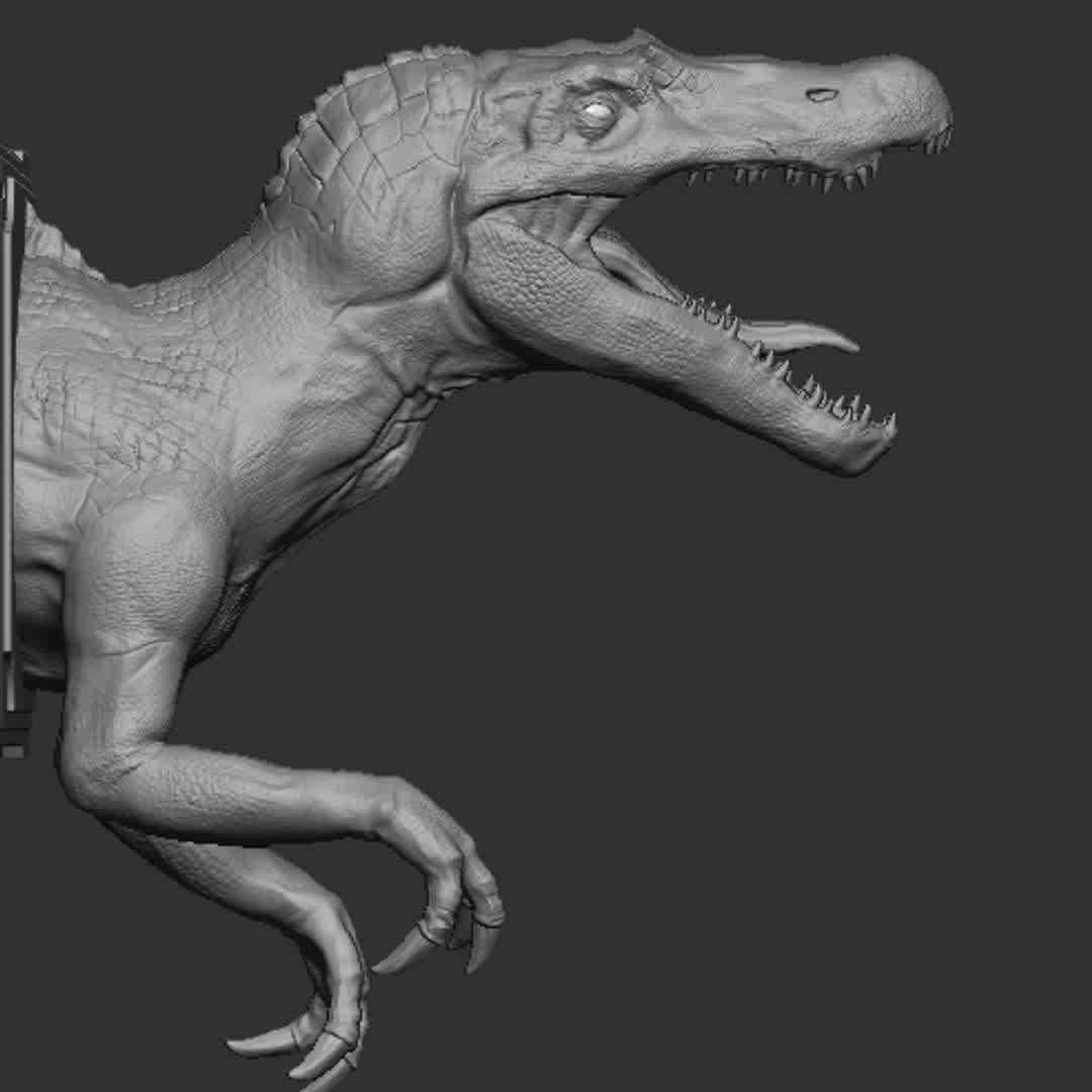 Spinossaur - Spinossaur, all one piece.   5 x 12 x 10  CM  The ideia is to put on a wall, so it has holes for nails or screws. - The best files for 3D printing in the world. Stl models divided into parts to facilitate 3D printing. All kinds of characters, decoration, cosplay, prosthetics, pieces. Quality in 3D printing. Affordable 3D models. Low cost. Collective purchases of 3D files.