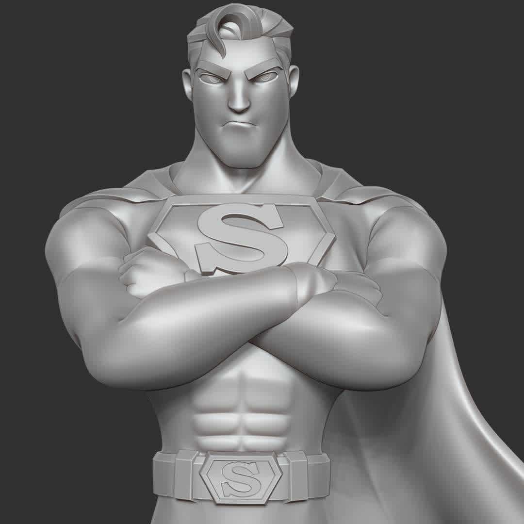 Superman Fanart - "Where there is injustice and oppression, there will be the appearance of Superman."

Basic parameters:

- STL format for 3D printing with 03 discrete objects
- Model height: 30 cm
- Version 1.0 - Polygons: 1468191 & Vertices: 815630

Model ready for 3D printing.

Please vote positively for me if you find this model useful. - Los mejores archivos para impresión 3D del mundo. Modelos Stl divididos en partes para facilitar la impresión 3D. Todo tipo de personajes, decoración, cosplay, prótesis, piezas. Calidad en impresión 3D. Modelos 3D asequibles. Bajo costo. Compras colectivas de archivos 3D.