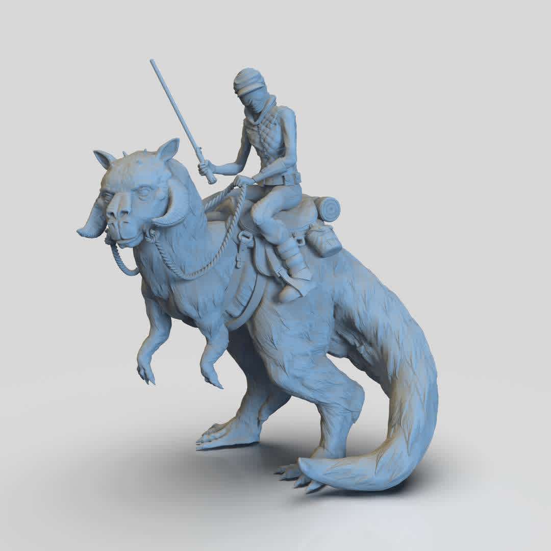 Taun-Taun Rider - Mash up of Luke Skywalker riding is Tauntaun and the Wizards poster in the style of Ralph Bakshi. I would prefer the model to stand on it's own with no base. - The best files for 3D printing in the world. Stl models divided into parts to facilitate 3D printing. All kinds of characters, decoration, cosplay, prosthetics, pieces. Quality in 3D printing. Affordable 3D models. Low cost. Collective purchases of 3D files.