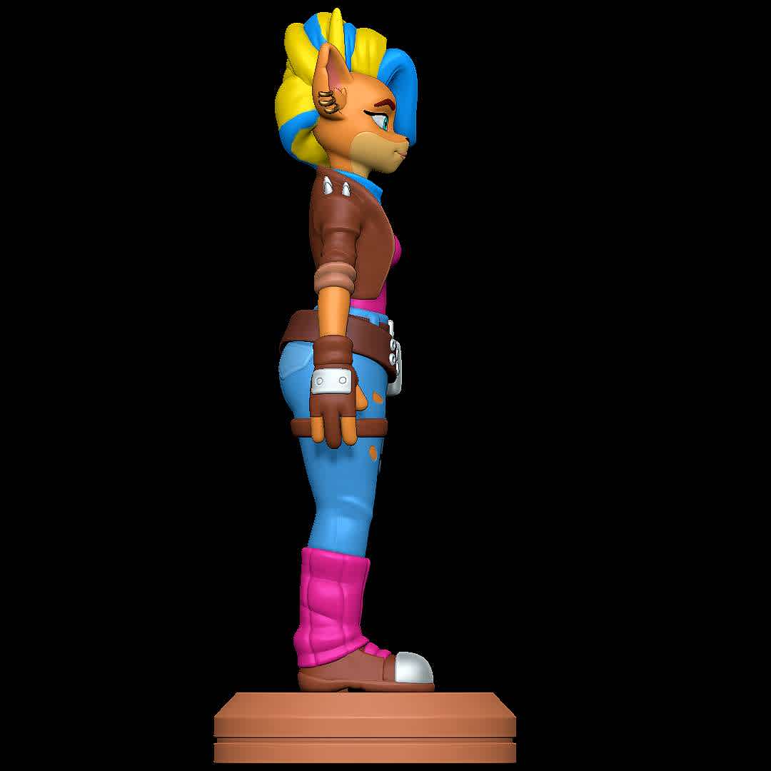 Tawna Bandicoot - Crash Bandicoot 4 Its About Time - Character from the game Crash Bandicoot 4 it's About Time
 - Os melhores arquivos para impressão 3D do mundo. Modelos stl divididos em partes para facilitar a impressão 3D. Todos os tipos de personagens, decoração, cosplay, próteses, peças. Qualidade na impressão 3D. Modelos 3D com preço acessível. Baixo custo. Compras coletivas de arquivos 3D.