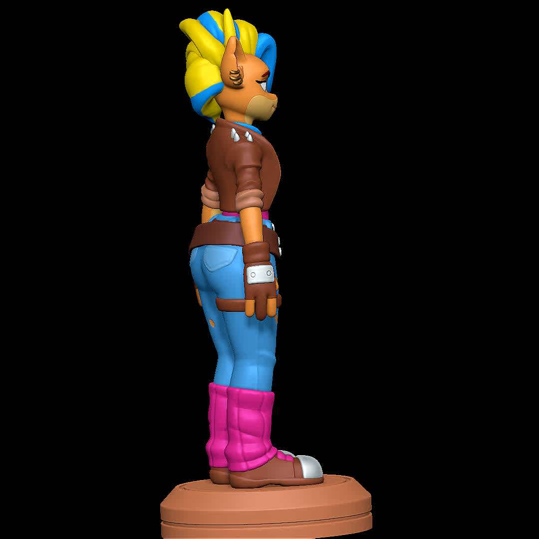 Tawna Bandicoot - Crash Bandicoot 4 Its About Time - Character from the game Crash Bandicoot 4 it's About Time
 - The best files for 3D printing in the world. Stl models divided into parts to facilitate 3D printing. All kinds of characters, decoration, cosplay, prosthetics, pieces. Quality in 3D printing. Affordable 3D models. Low cost. Collective purchases of 3D files.