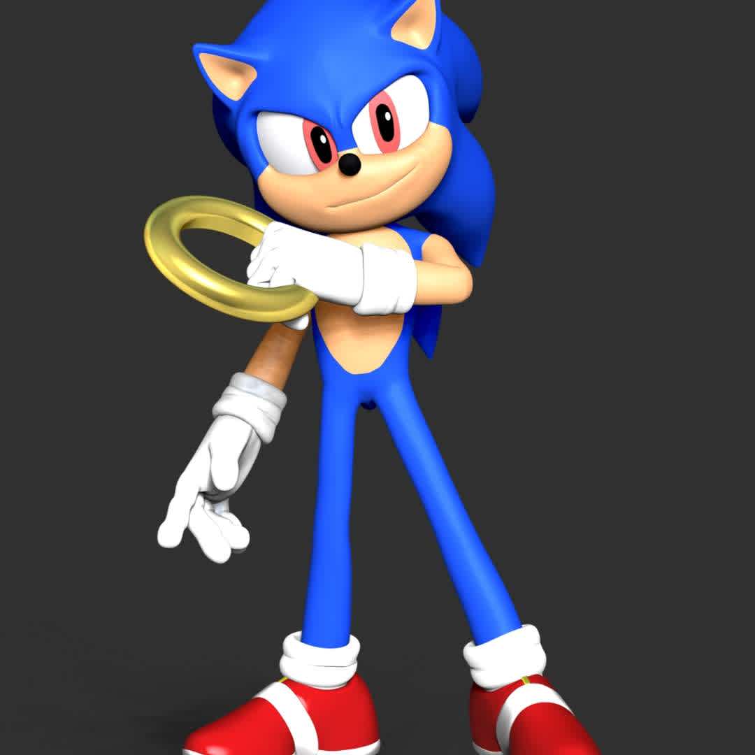 The Sonic Fanart - **These information basic of this model:**

- The model ready for 3D printing.
- The model current size is 20cm height, but you are free to scale it.
- Files format: STL, OBJ (included 7 separated files is ready for 3D printing).
- Also includes Zbrush original file (ZTL) for you to customize as you like.

Hope you like her. 
If you have any questions please don't hesitate to contact me. 
I will respond you ASAP. - The best files for 3D printing in the world. Stl models divided into parts to facilitate 3D printing. All kinds of characters, decoration, cosplay, prosthetics, pieces. Quality in 3D printing. Affordable 3D models. Low cost. Collective purchases of 3D files.