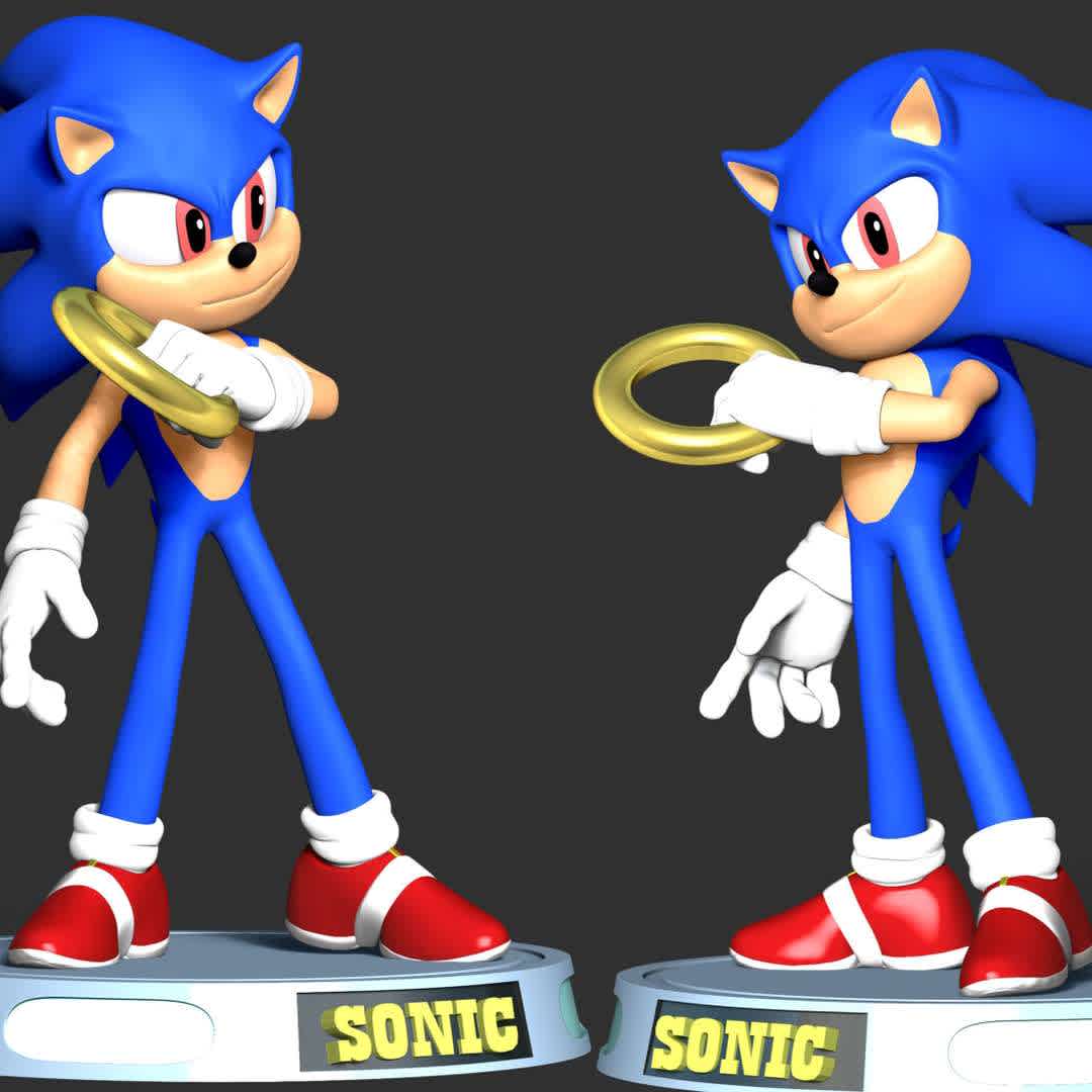 The Sonic Fanart - **These information basic of this model:**

- The model ready for 3D printing.
- The model current size is 20cm height, but you are free to scale it.
- Files format: STL, OBJ (included 7 separated files is ready for 3D printing).
- Also includes Zbrush original file (ZTL) for you to customize as you like.

Hope you like her. 
If you have any questions please don't hesitate to contact me. 
I will respond you ASAP. - The best files for 3D printing in the world. Stl models divided into parts to facilitate 3D printing. All kinds of characters, decoration, cosplay, prosthetics, pieces. Quality in 3D printing. Affordable 3D models. Low cost. Collective purchases of 3D files.