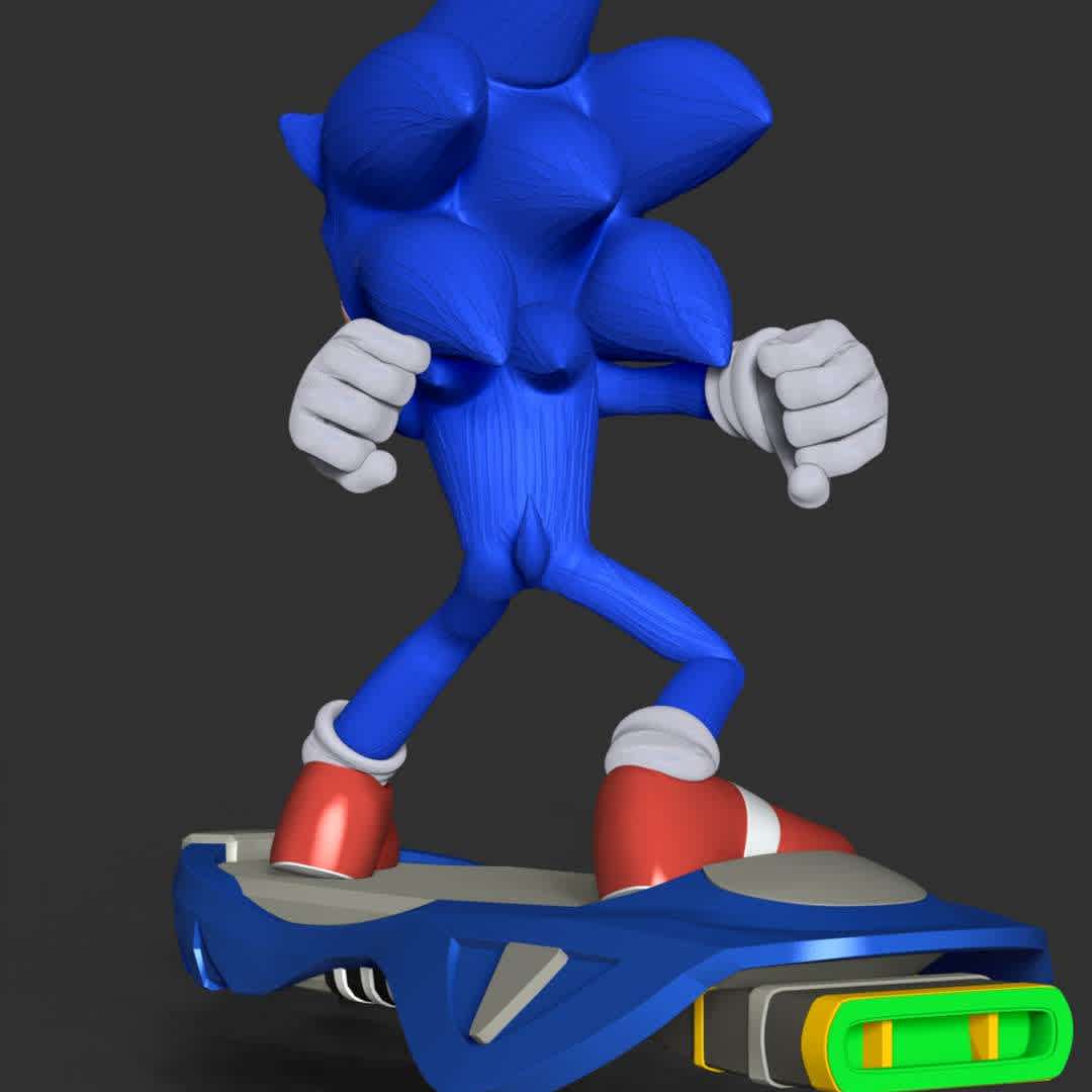 The Sonic Riders - This model has a height of 18 cm.

When you purchase this model, you will own:

- STL, OBJ file with 08 separated files (with key to connect together) is ready for 3D printing.

- Zbrush original files (ZTL) for you to customize as you like.

This is version 1.0 of this model.

Hope you like him. Thanks for viewing! - The best files for 3D printing in the world. Stl models divided into parts to facilitate 3D printing. All kinds of characters, decoration, cosplay, prosthetics, pieces. Quality in 3D printing. Affordable 3D models. Low cost. Collective purchases of 3D files.