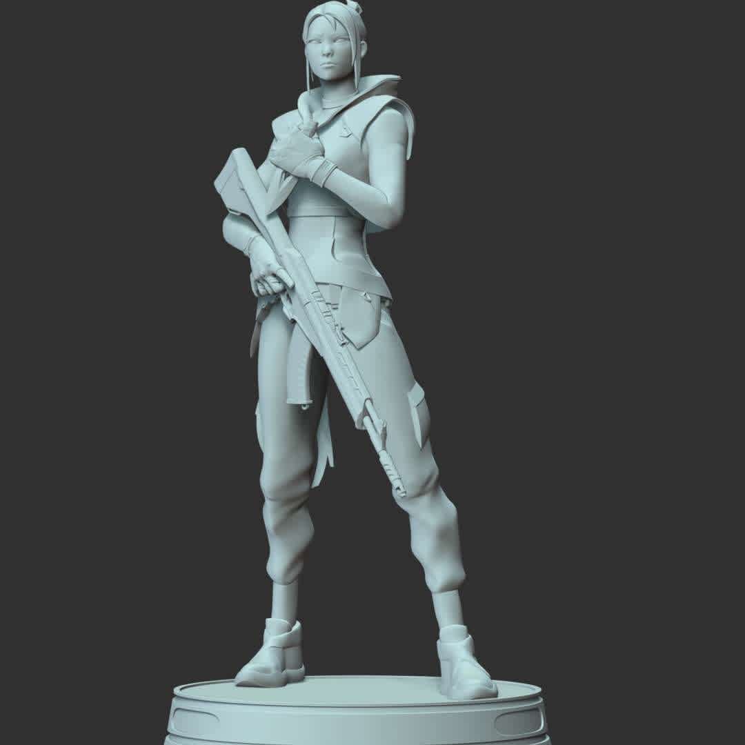 Valorant - Jett - **Jett can run circles around every skirmish, cutting enemies before they even know what hit them.**
These information of model:

**- The height of current model is 30 cm and you can free to scale it.**

**- Format files: STL, OBJ to supporting 3D printing.**

Please don't hesitate to contact me if you have any issues question. - The best files for 3D printing in the world. Stl models divided into parts to facilitate 3D printing. All kinds of characters, decoration, cosplay, prosthetics, pieces. Quality in 3D printing. Affordable 3D models. Low cost. Collective purchases of 3D files.