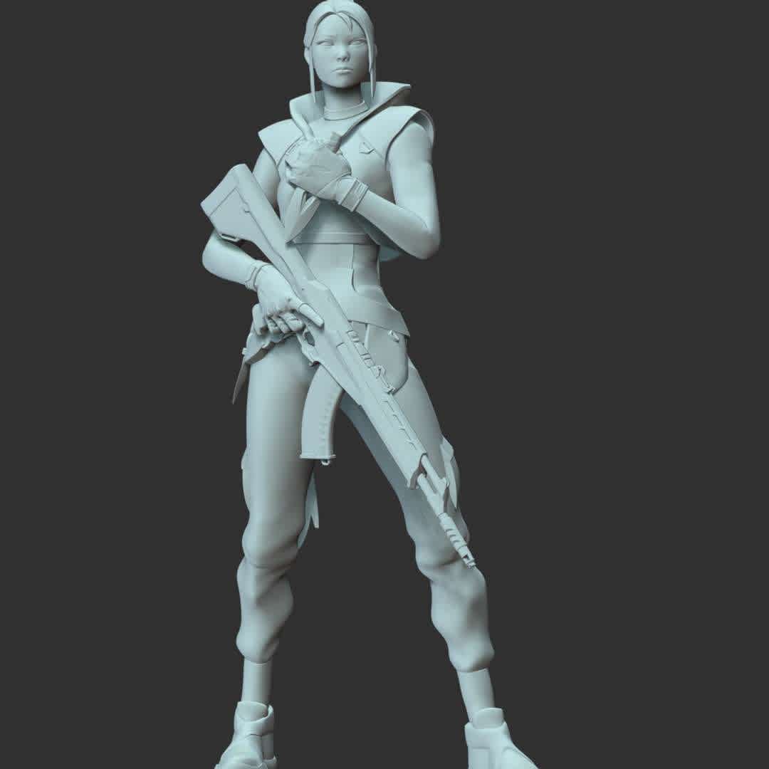 Valorant - Jett - **Jett can run circles around every skirmish, cutting enemies before they even know what hit them.**
These information of model:

**- The height of current model is 30 cm and you can free to scale it.**

**- Format files: STL, OBJ to supporting 3D printing.**

Please don't hesitate to contact me if you have any issues question. - The best files for 3D printing in the world. Stl models divided into parts to facilitate 3D printing. All kinds of characters, decoration, cosplay, prosthetics, pieces. Quality in 3D printing. Affordable 3D models. Low cost. Collective purchases of 3D files.