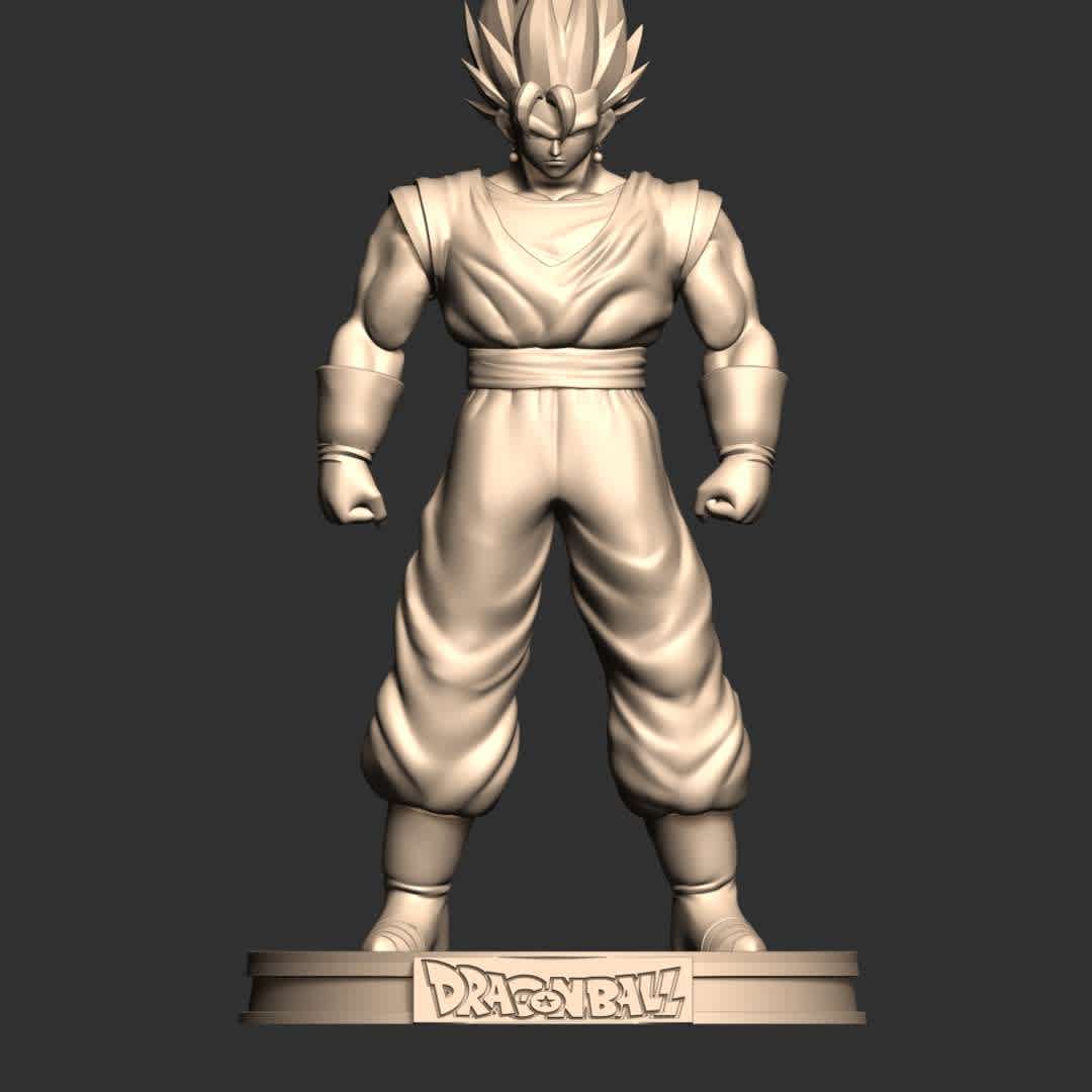 Vegetto - Dragon Ball - This model has a height of 20 cm.

When you purchase this model, you will own:

 - STL, OBJ file with 03 separated files (included key to connect parts) is ready for 3D printing.
 - Zbrush original files (ZTL) for you to customize as you like.

This is version 1.0 of this model.

Thanks for viewing! Hope you like him.  - The best files for 3D printing in the world. Stl models divided into parts to facilitate 3D printing. All kinds of characters, decoration, cosplay, prosthetics, pieces. Quality in 3D printing. Affordable 3D models. Low cost. Collective purchases of 3D files.