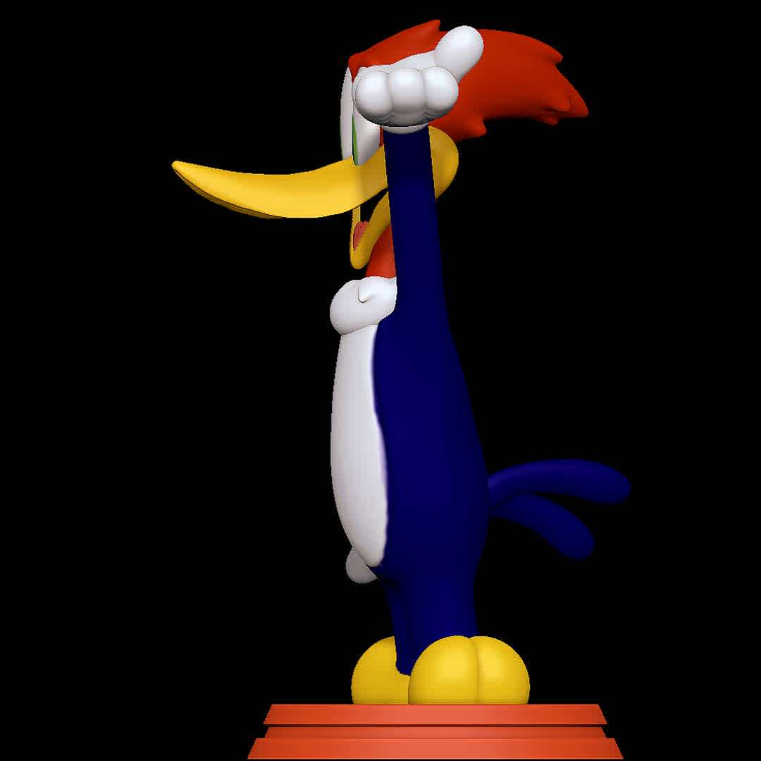 Woody Woodpecker - Classic one
 - The best files for 3D printing in the world. Stl models divided into parts to facilitate 3D printing. All kinds of characters, decoration, cosplay, prosthetics, pieces. Quality in 3D printing. Affordable 3D models. Low cost. Collective purchases of 3D files.