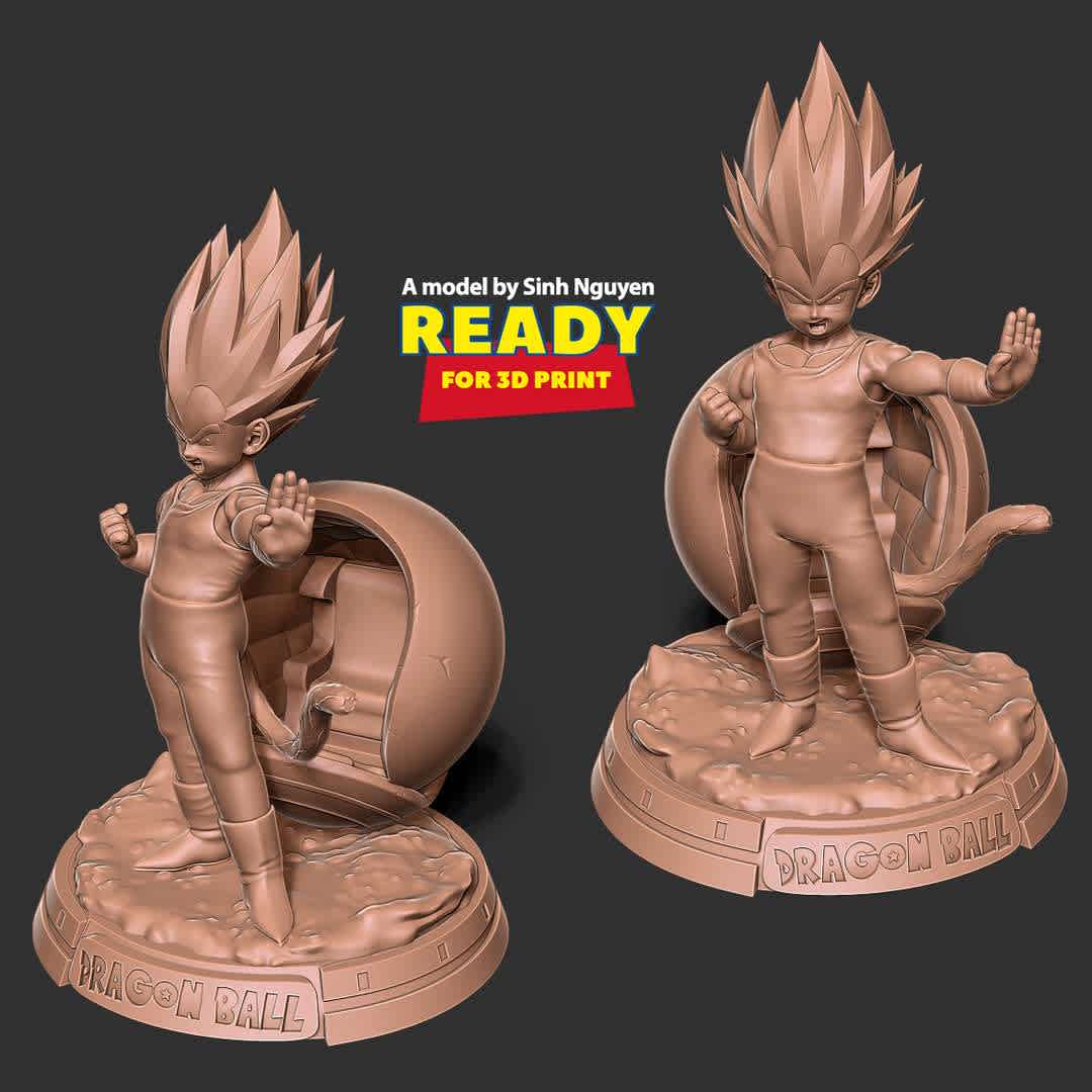 Young Vegeta  - Young Vegeta appears in Dragonball Z Kakarot.

Basic parameters:

- STL, OBJ format for 3D printing with 04 discrete objects
- ZTL format for Zbrush (version 2019.1.2 or later)
- Model height: 25cm
- Version 1.0 - Polygons: 1915686 & Vertices: 1022158

Model ready for 3D printing.

Please vote positively for me if you find this model useful. - The best files for 3D printing in the world. Stl models divided into parts to facilitate 3D printing. All kinds of characters, decoration, cosplay, prosthetics, pieces. Quality in 3D printing. Affordable 3D models. Low cost. Collective purchases of 3D files.